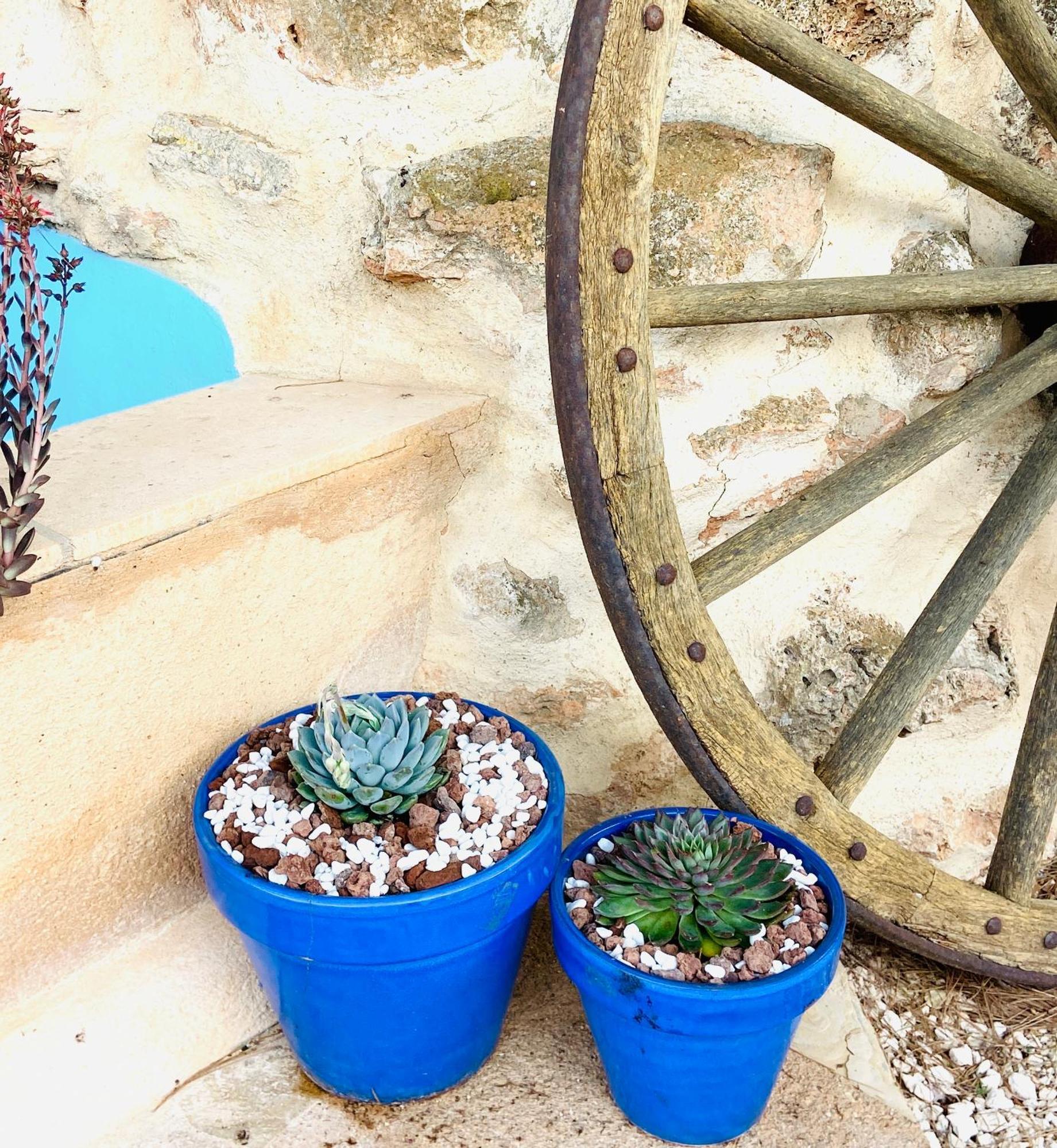 Agroturismo Sa Canova *
