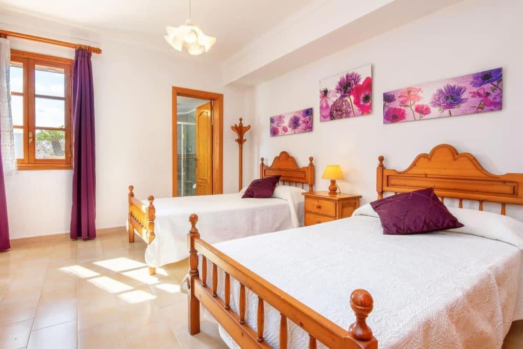 Villa Barbara In Petra