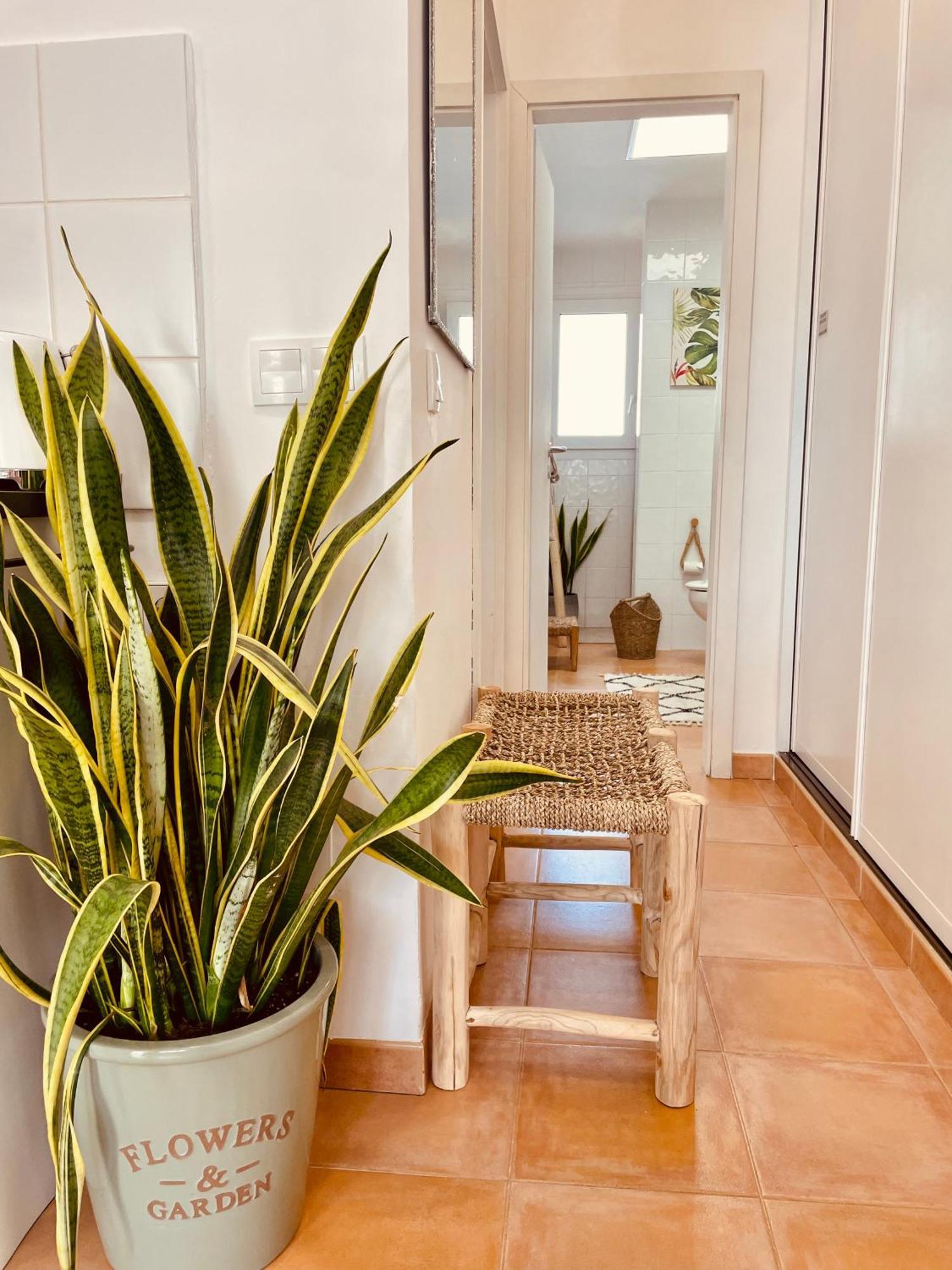 Somni - Boheme, Zen Et Chic Avec Piscine Apartamento *