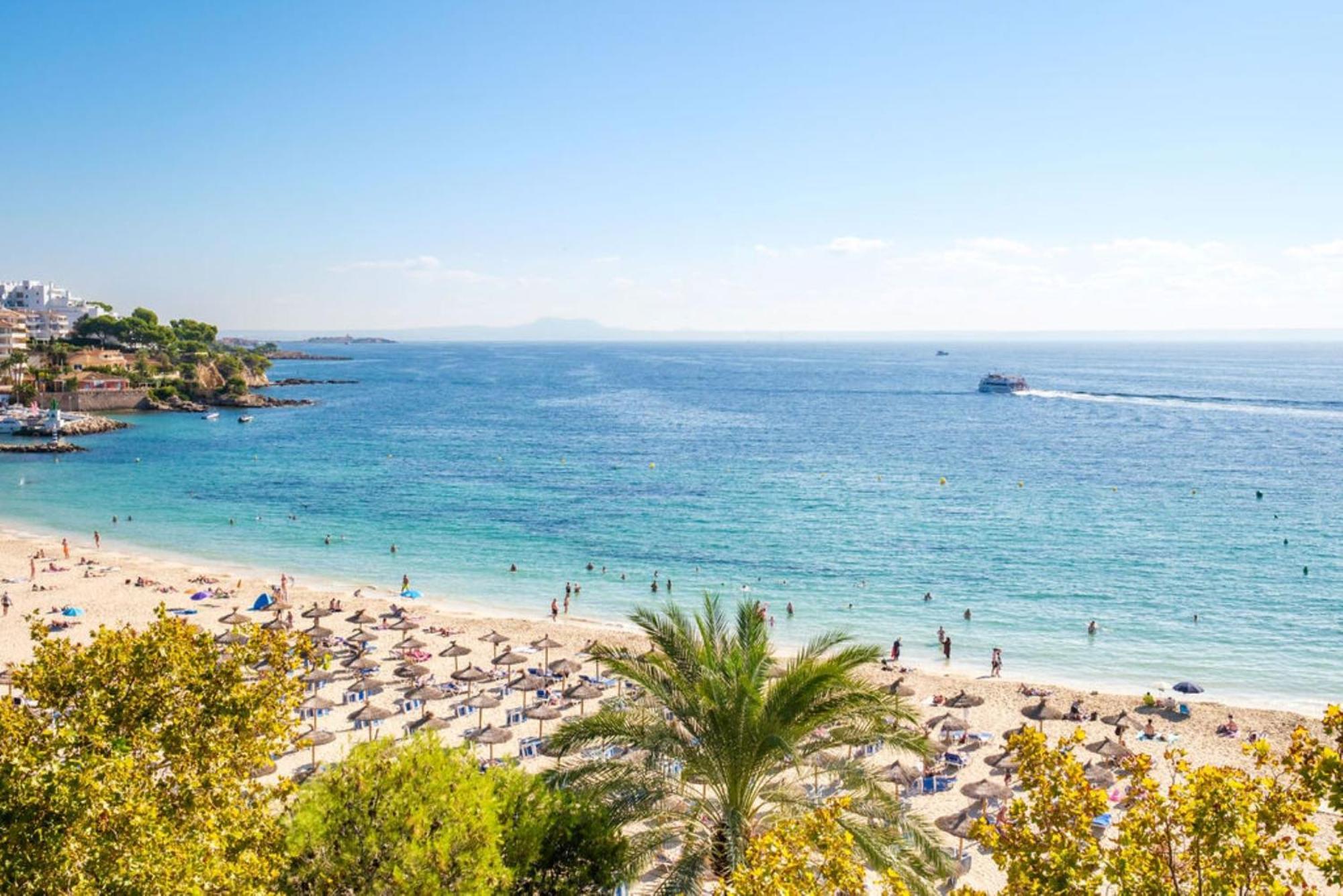 Agua Palmanova