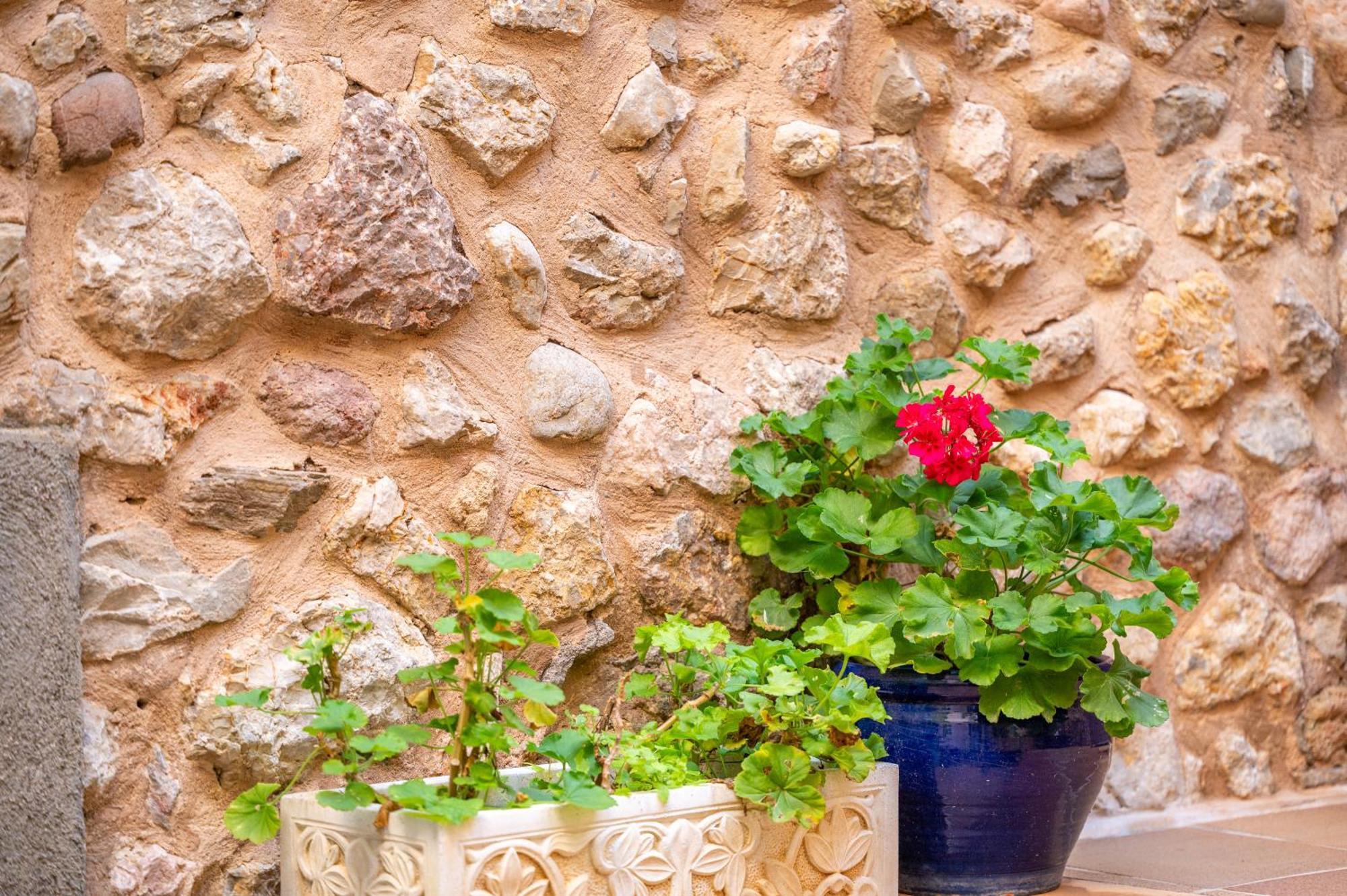 Casa Romana Holiday home *