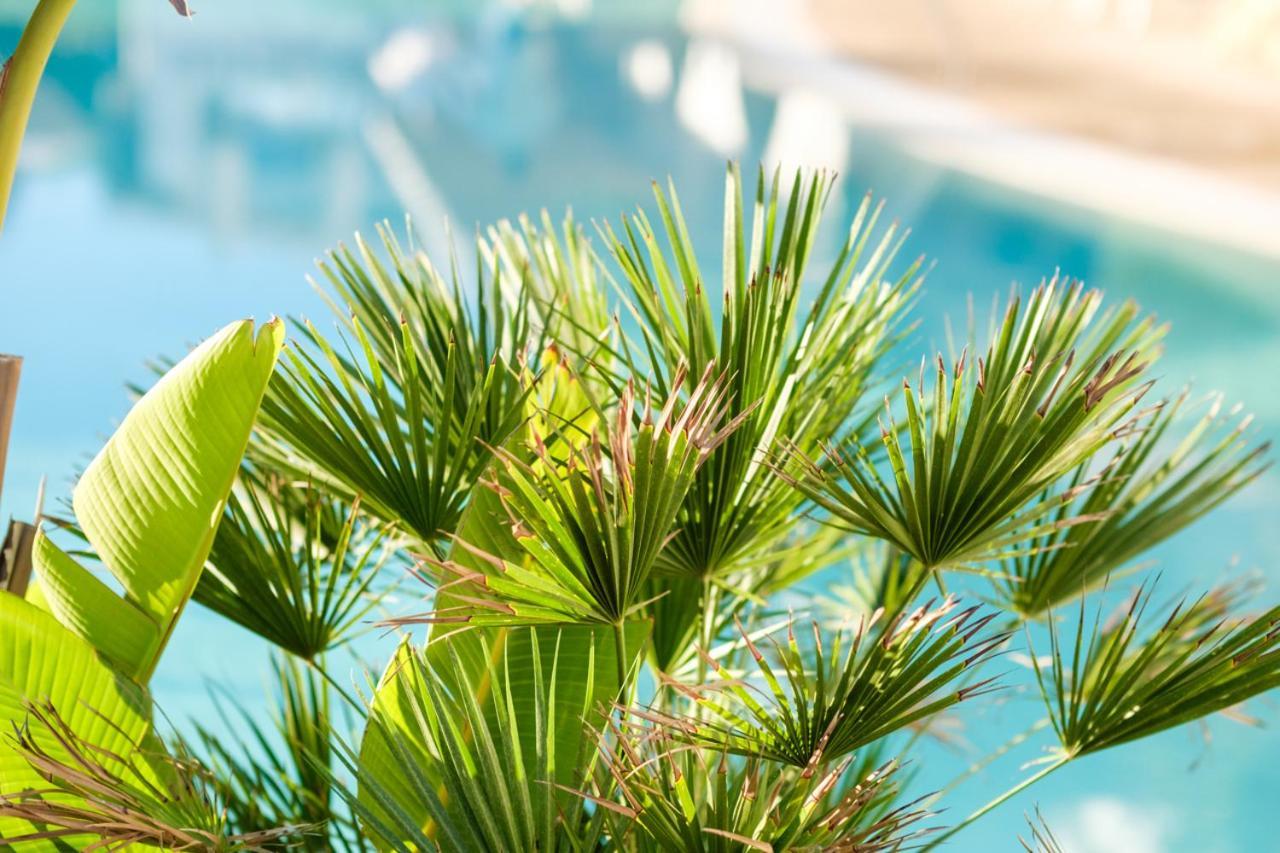 Cala Dor - Adults Only 4* Cala D´Or