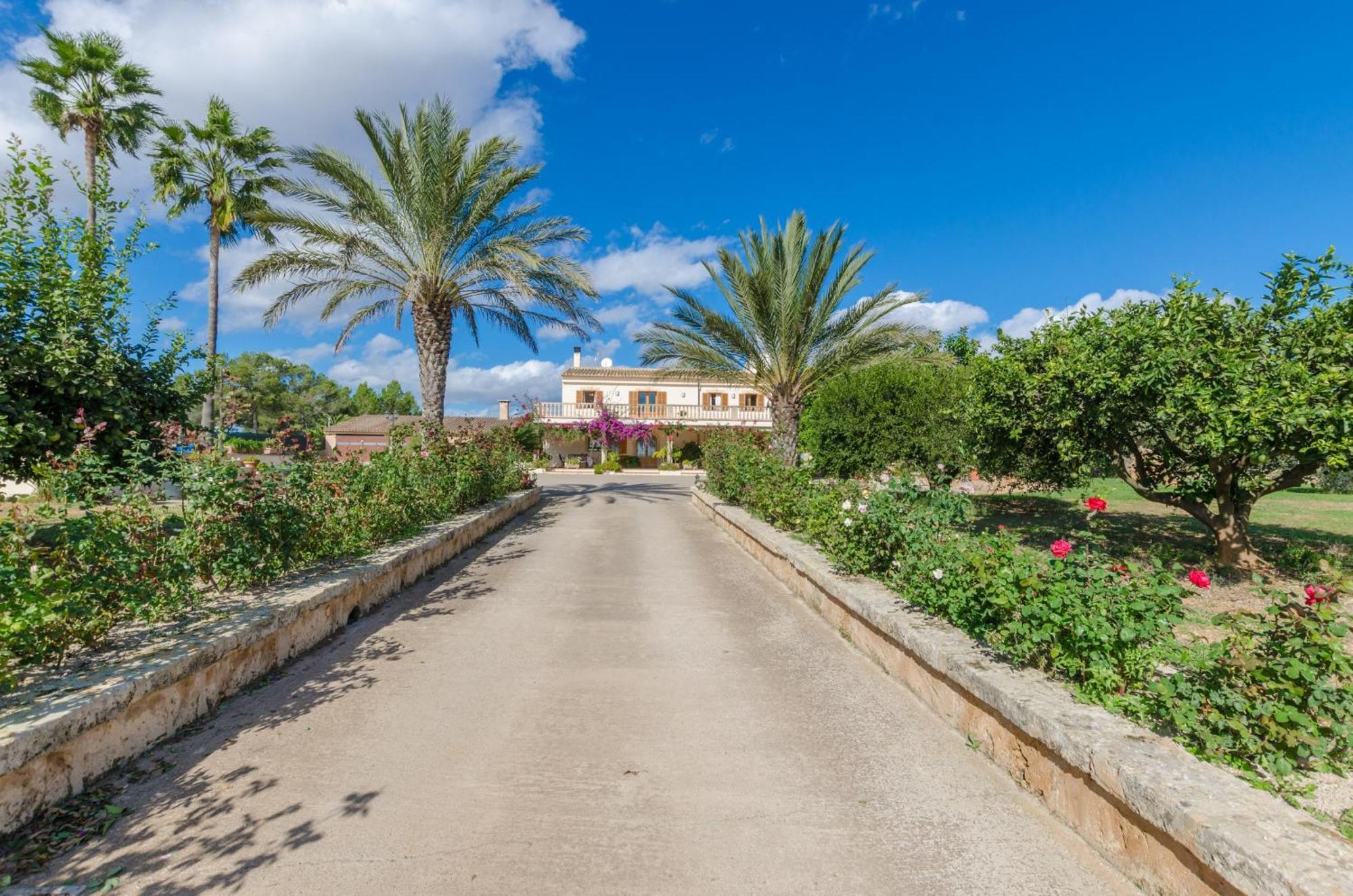 Yourhouse Sa Garriga Darder Villa