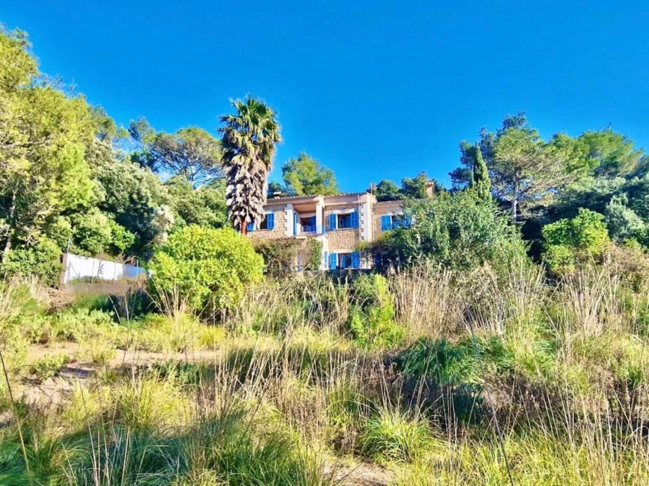 Sofia Valldemossa (Mallorca)