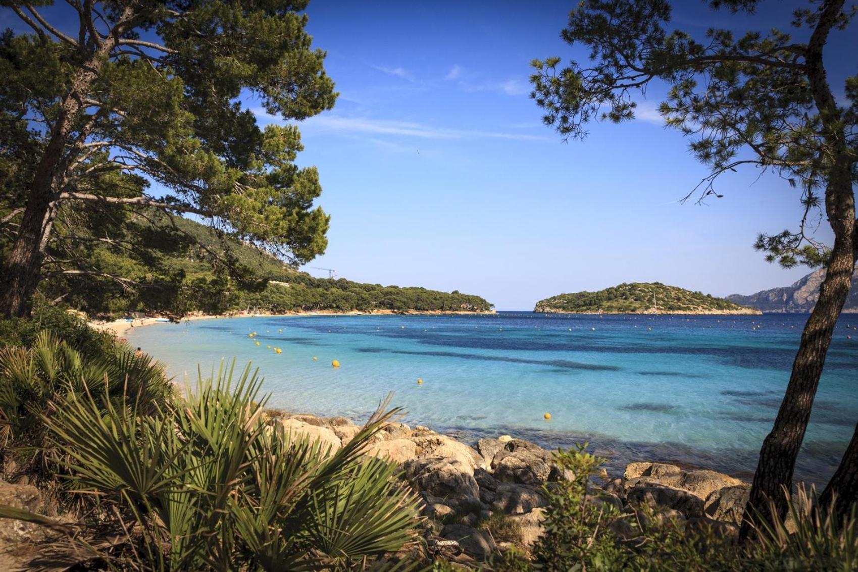 Bugambilia * Puerto Pollensa