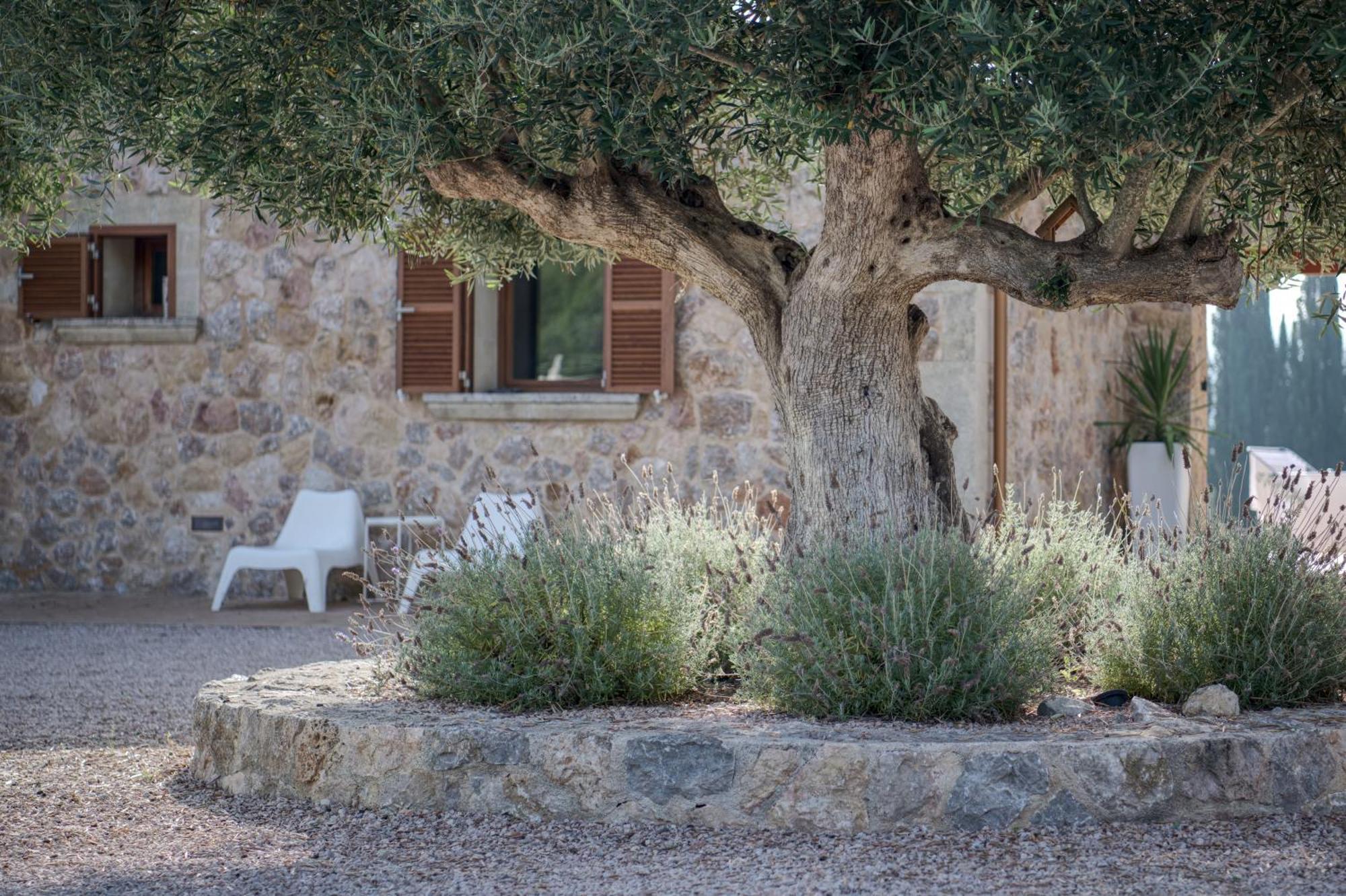 Figuera Villa