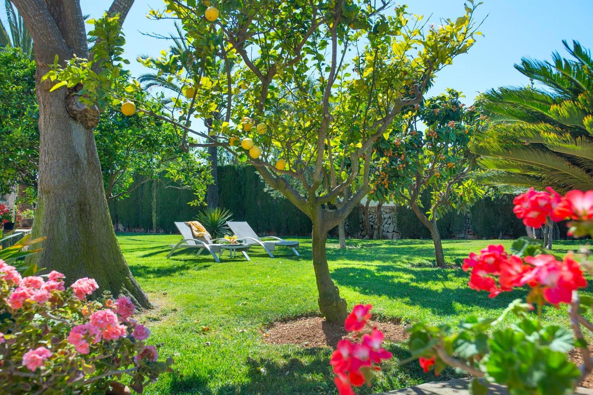 Villa Es Fasser By Vintage Travel Cala D´Or