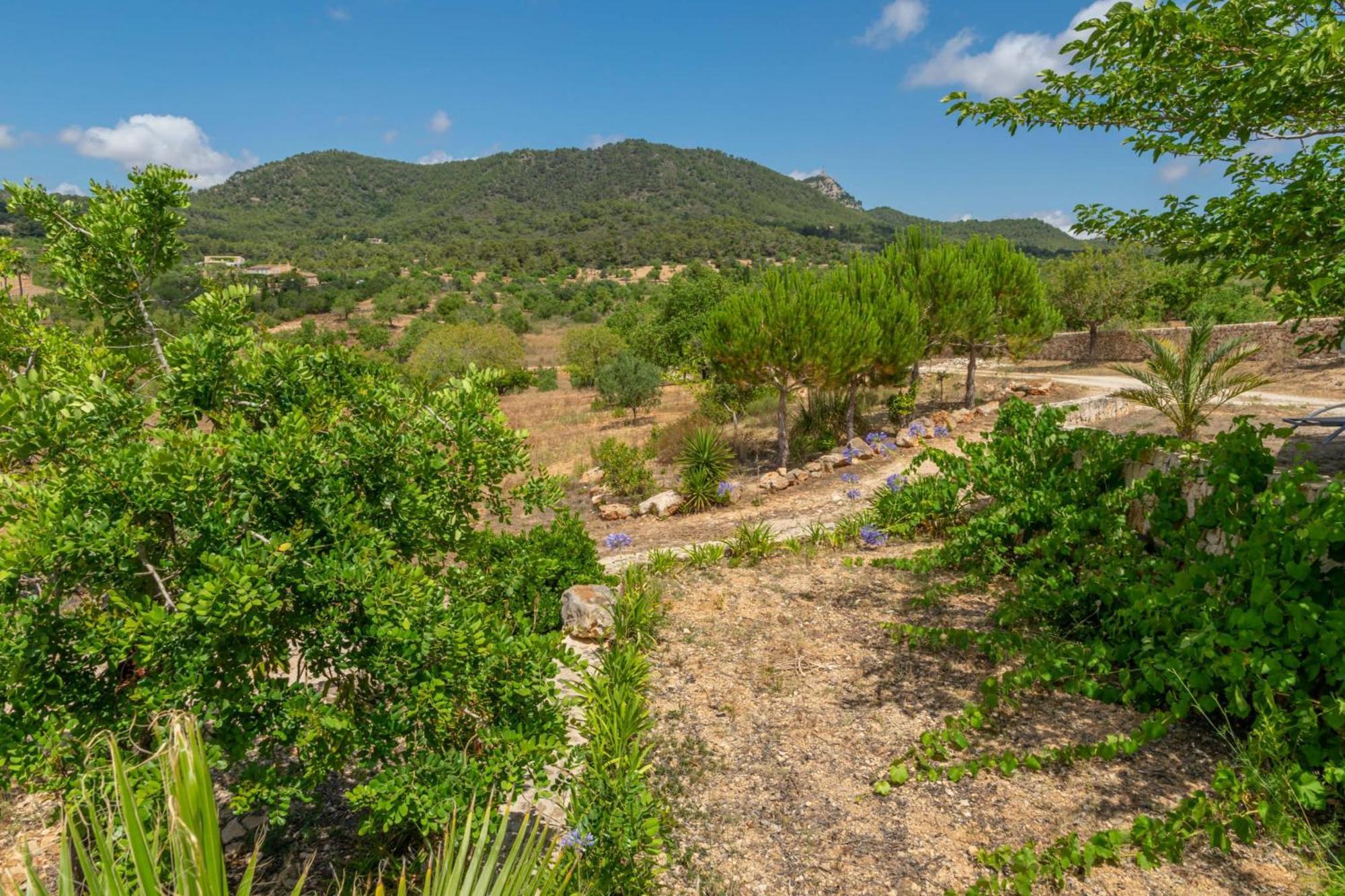 Villa S'albarcoquer *
