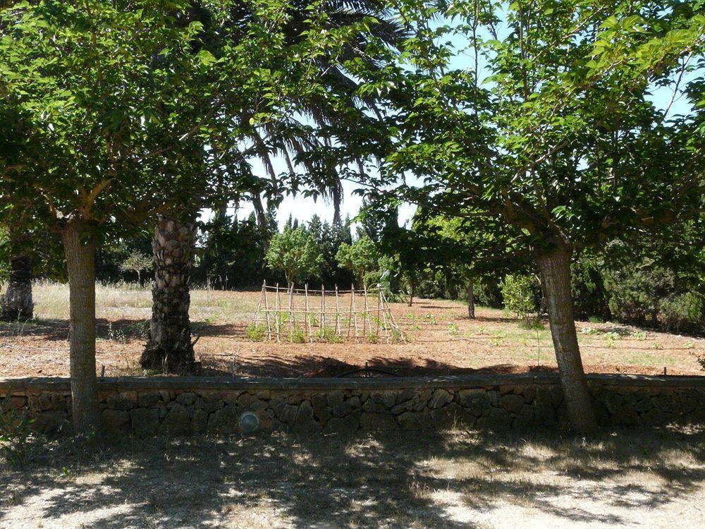 Es Palmer Campos (Mallorca)