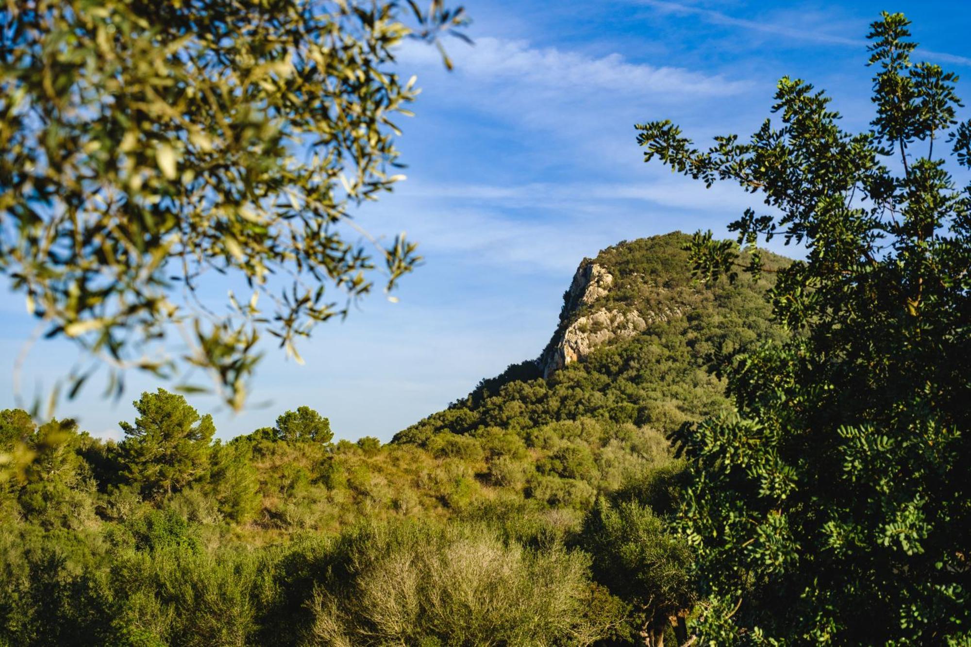 Sa Bastida Luxury Retreat & Adults Only Hotel 4*