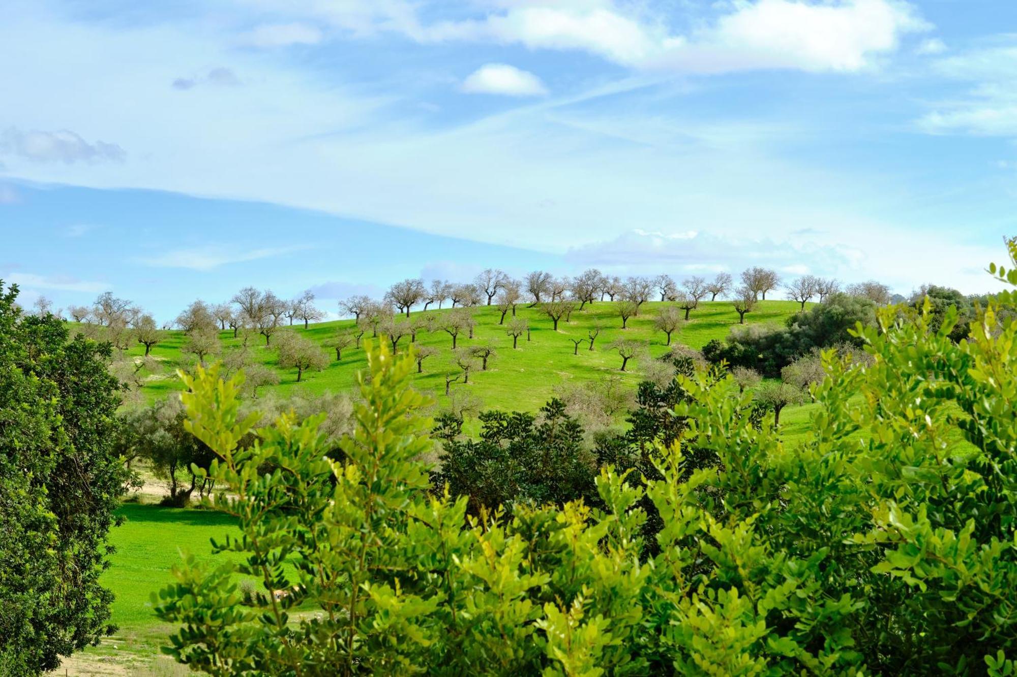Hotel Sa Bastida Luxury Retreat & Adults Only Sant Joan