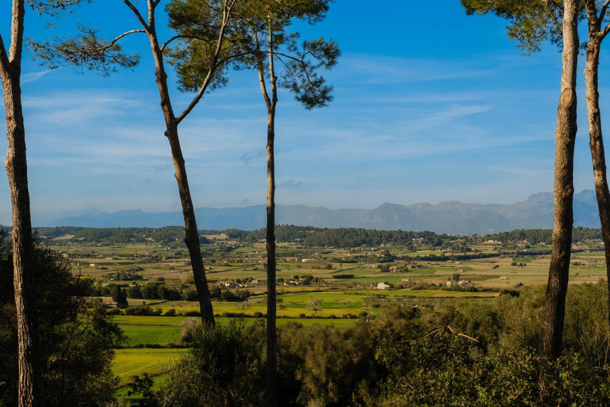 Sa Bastida Luxury Retreat & Adults Only 4* Sant Joan