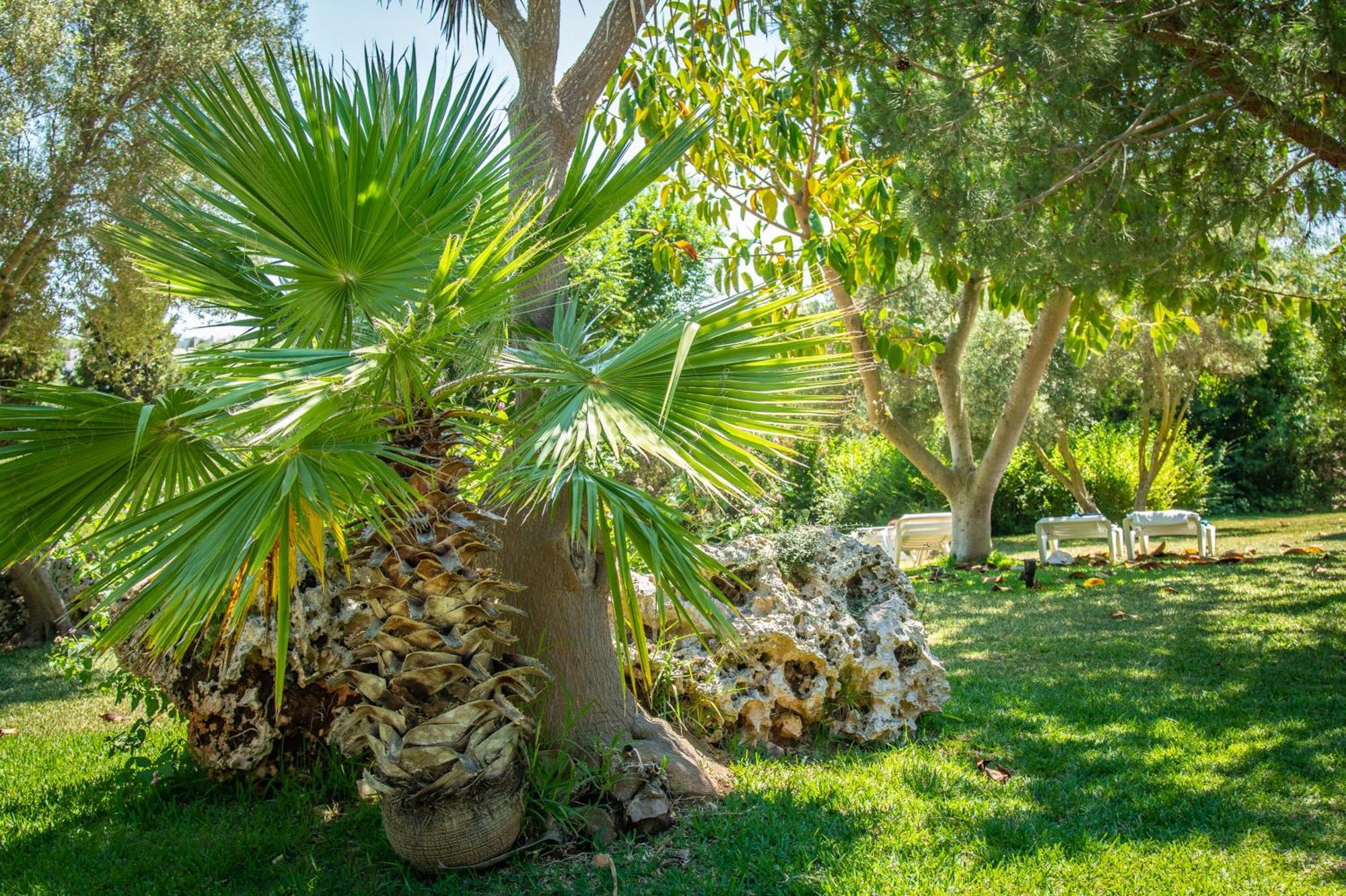 Club Cala Romani Hotel Calas de Mallorca