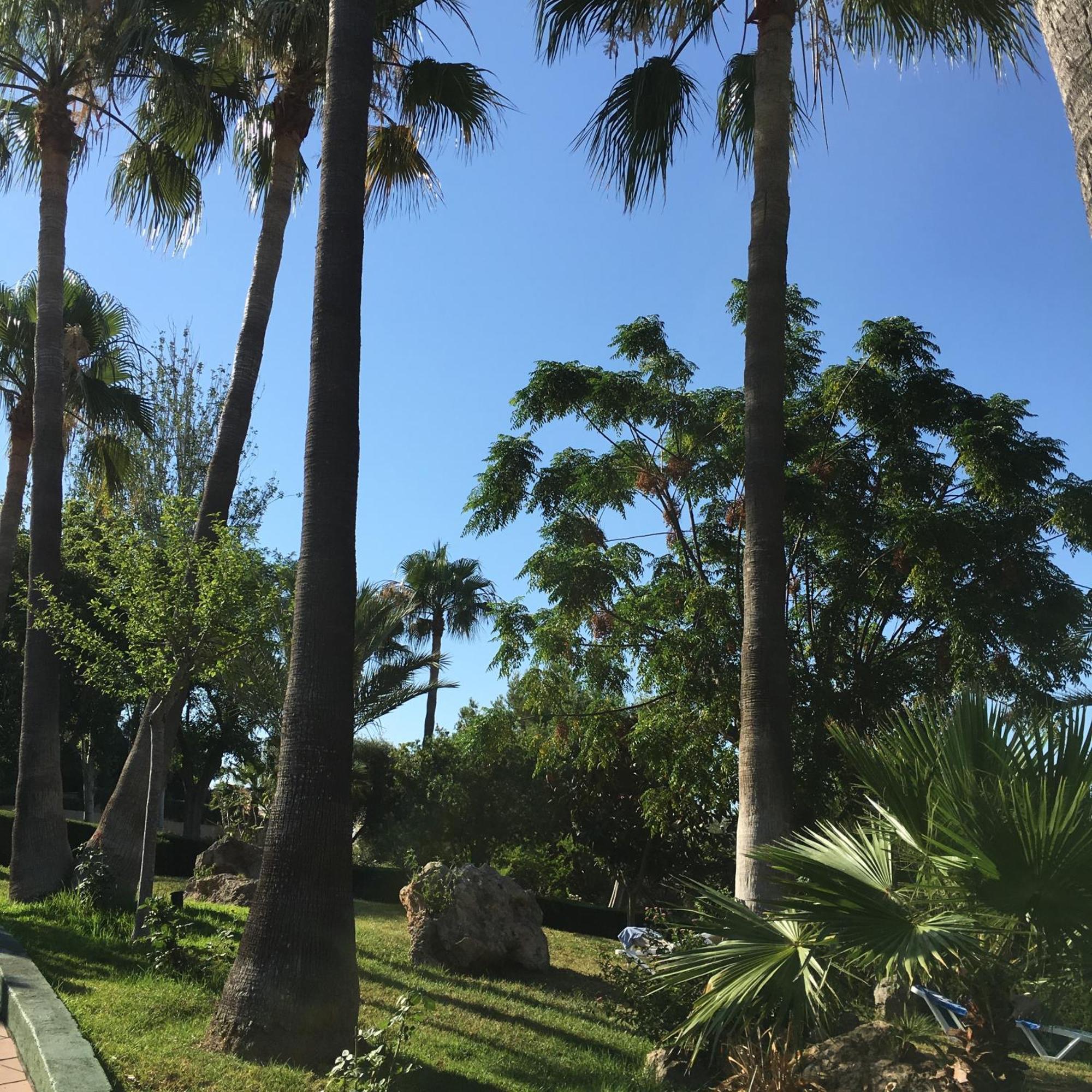 Club Cala Romani Calas de Mallorca
