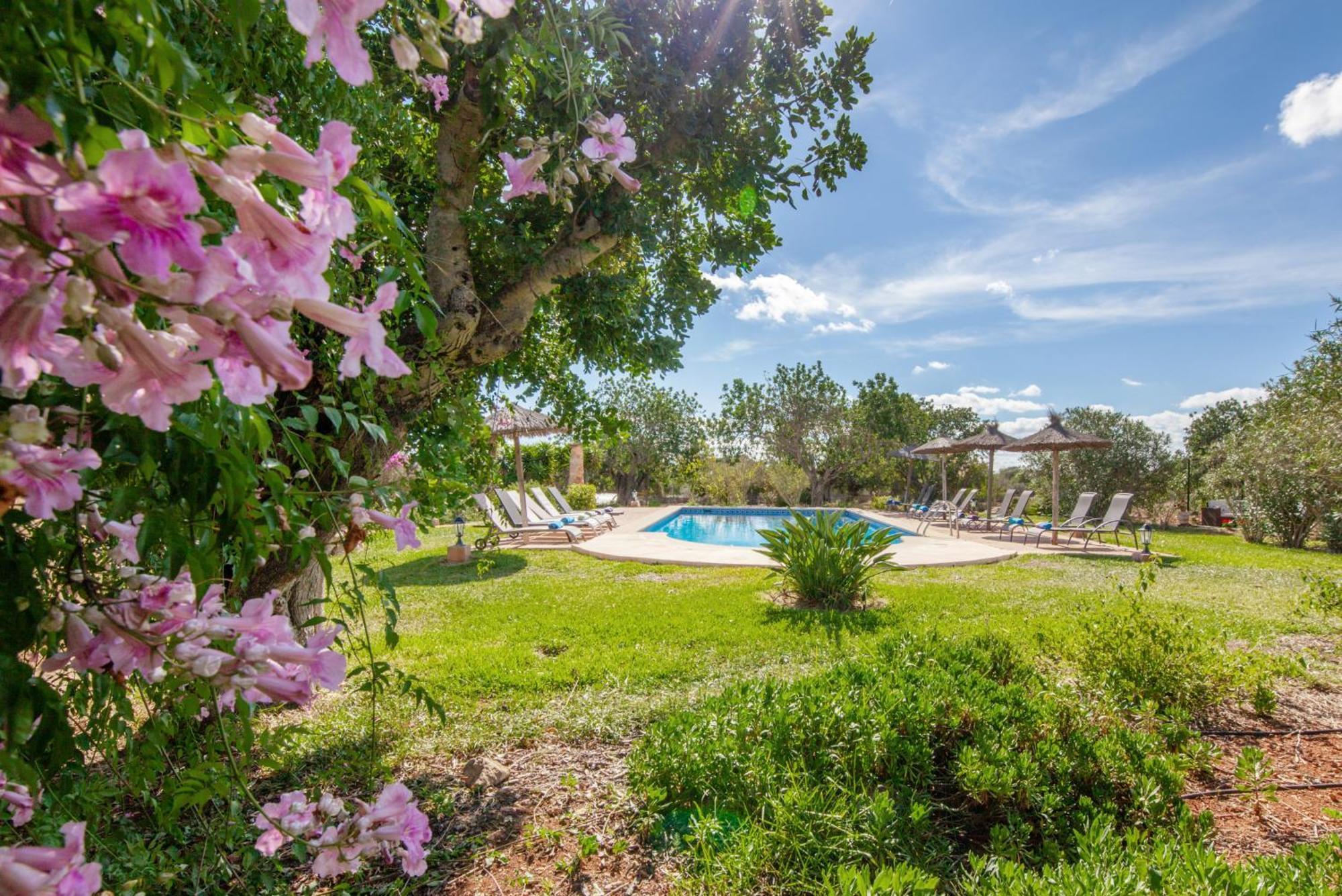 Agroturismo Son Marimon (adults Only) Santanyí