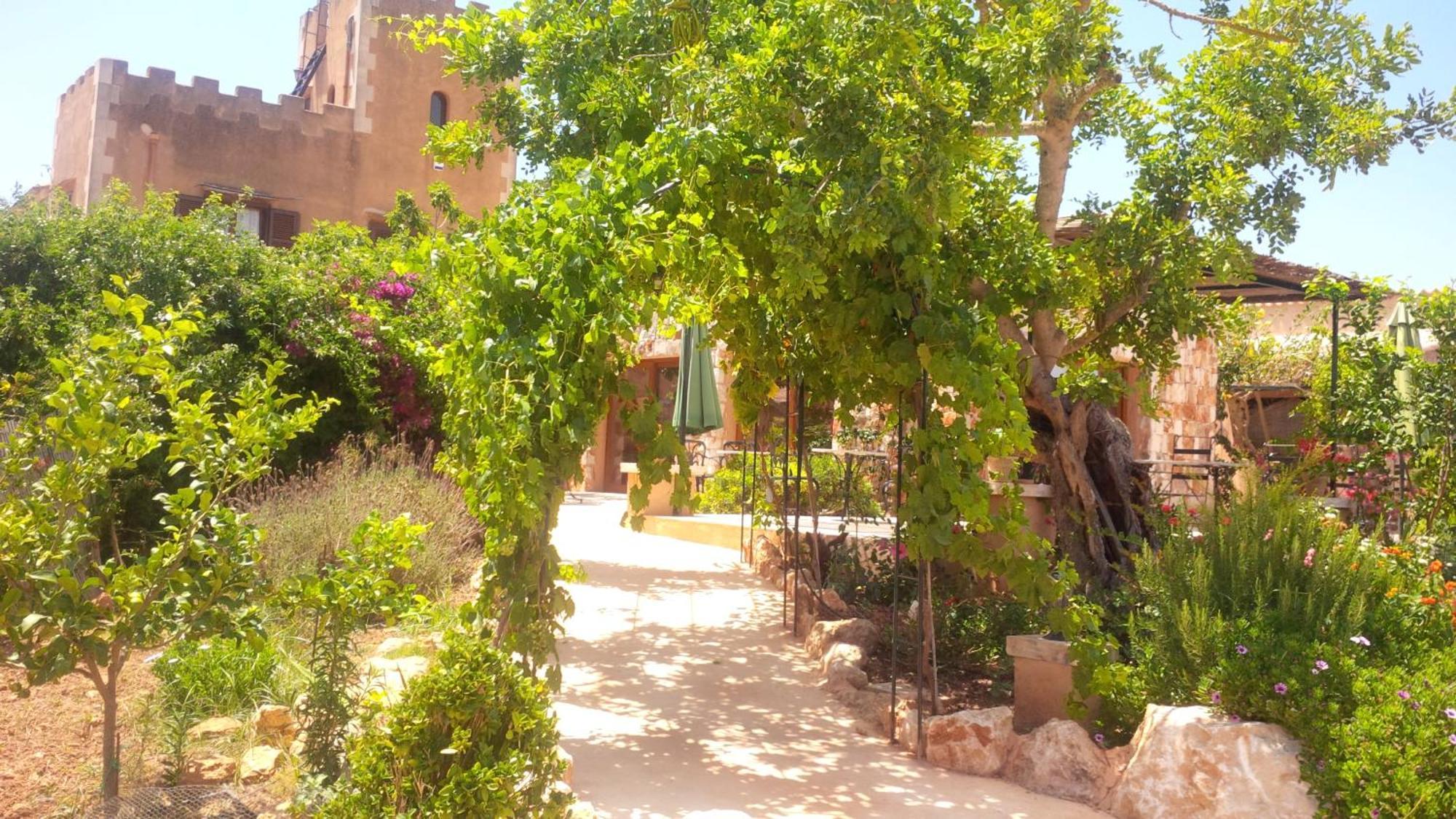 Agroturismo Son Marimon (adults Only)