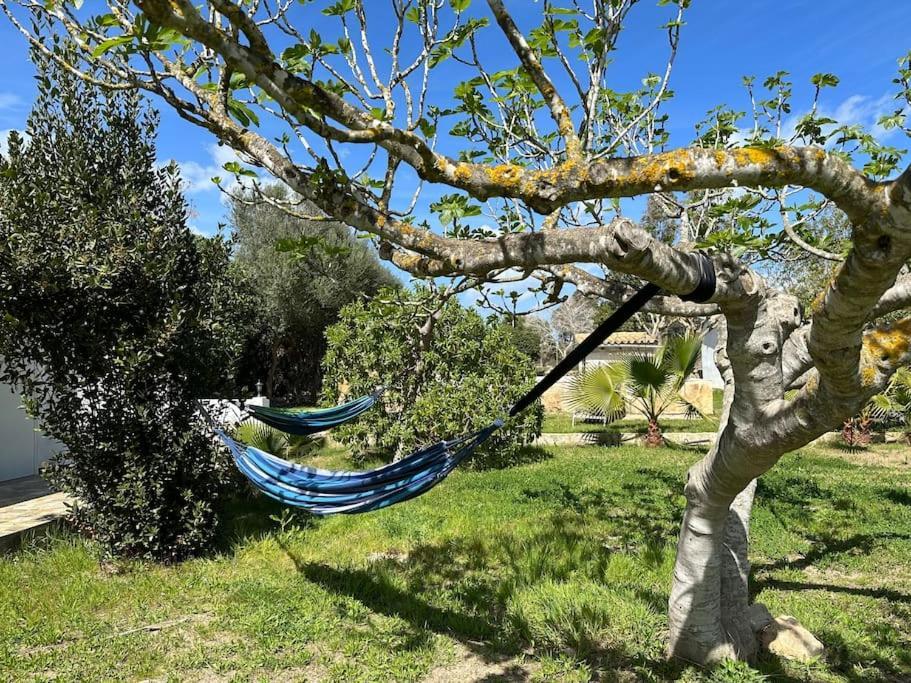 Finca Roberto Holiday home