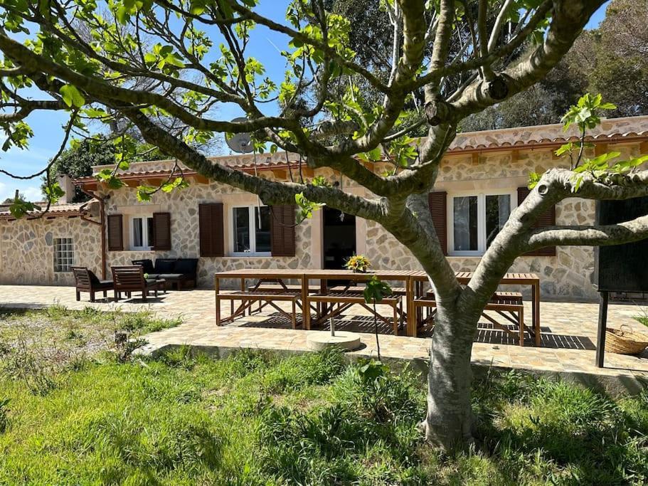 Holiday home Finca Roberto *