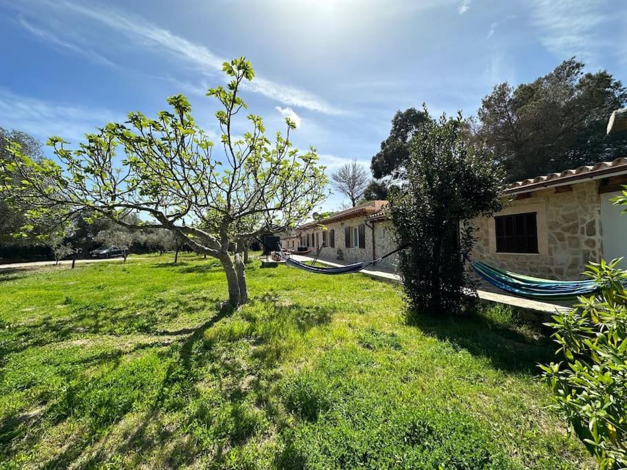 Finca Roberto *