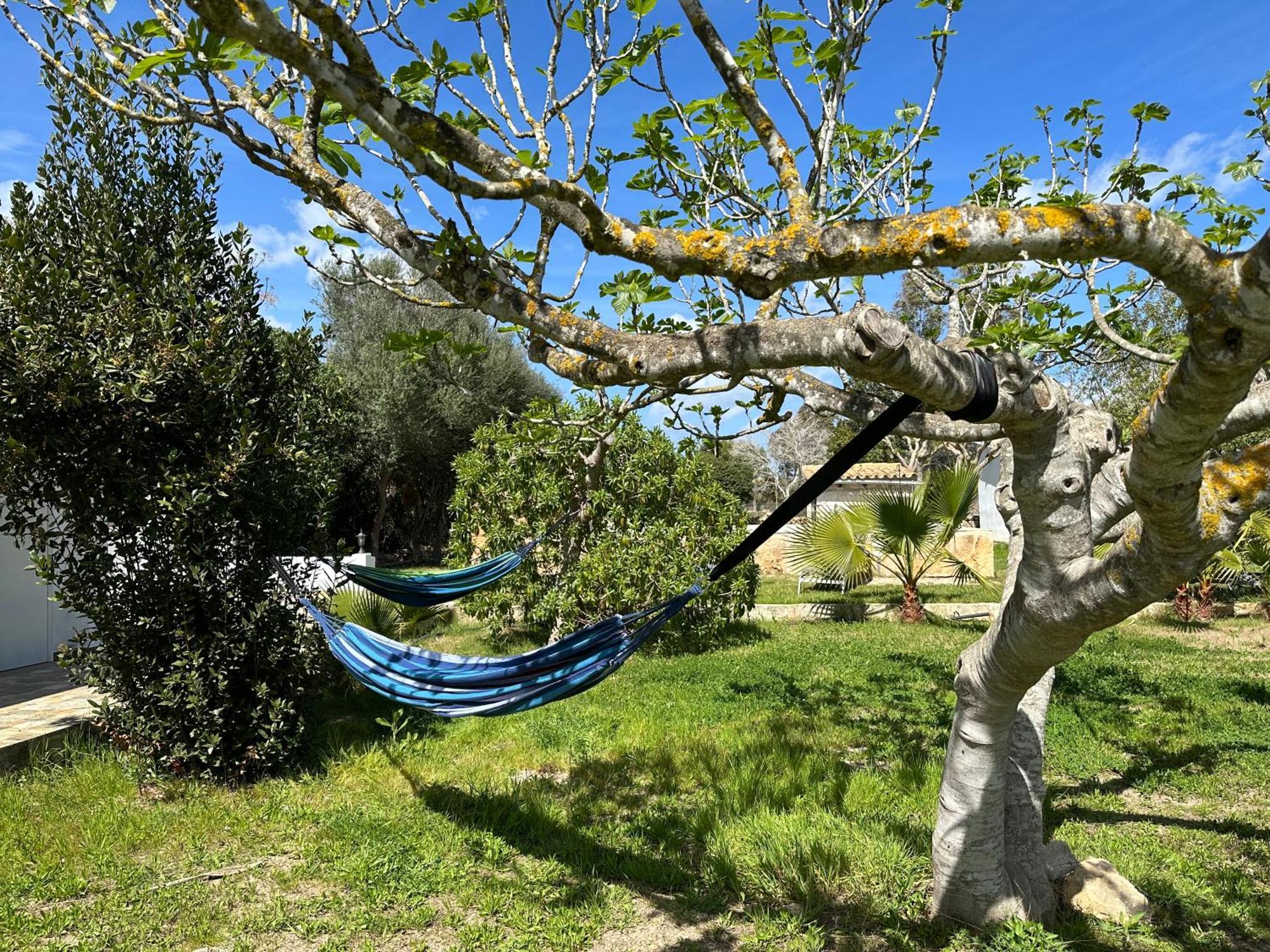 Holiday home Finca Roberto Can Picafort (Mallorca)