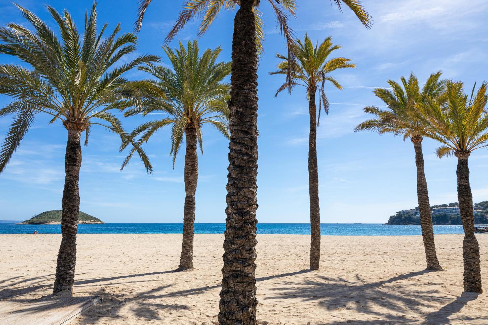 My Sea View - * Magaluf (Mallorca)
