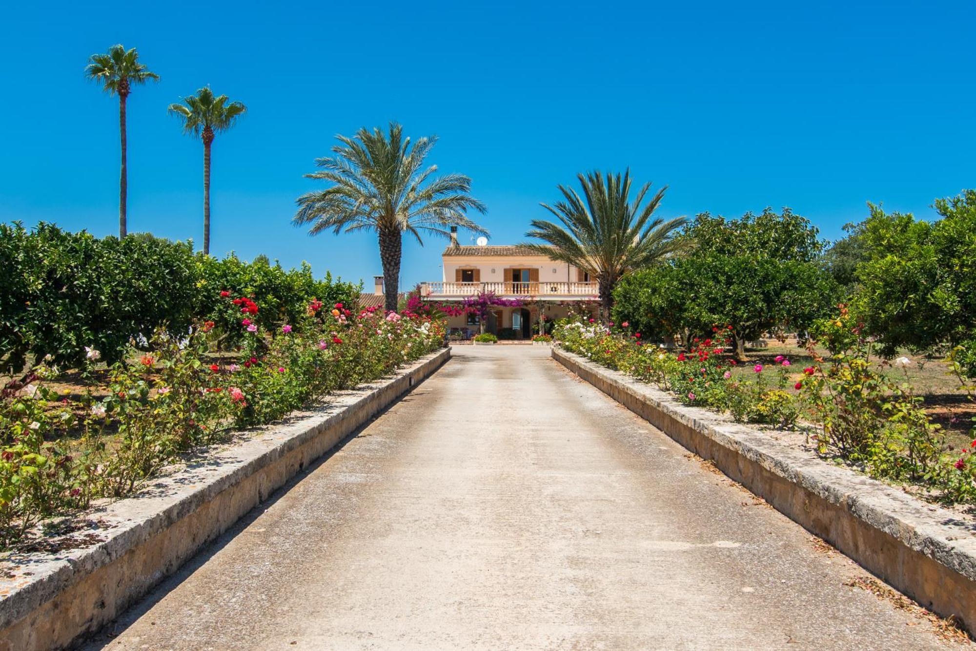 Villa Darder , Sa Garriga Ariany