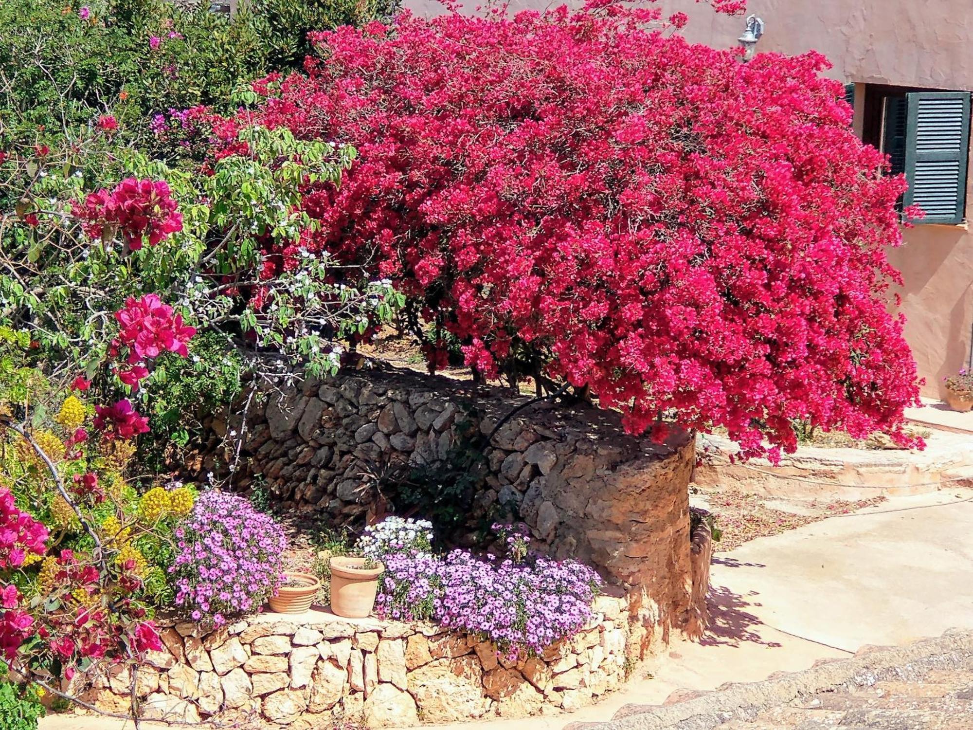 Agroturismo Son Marimon (adults Only)