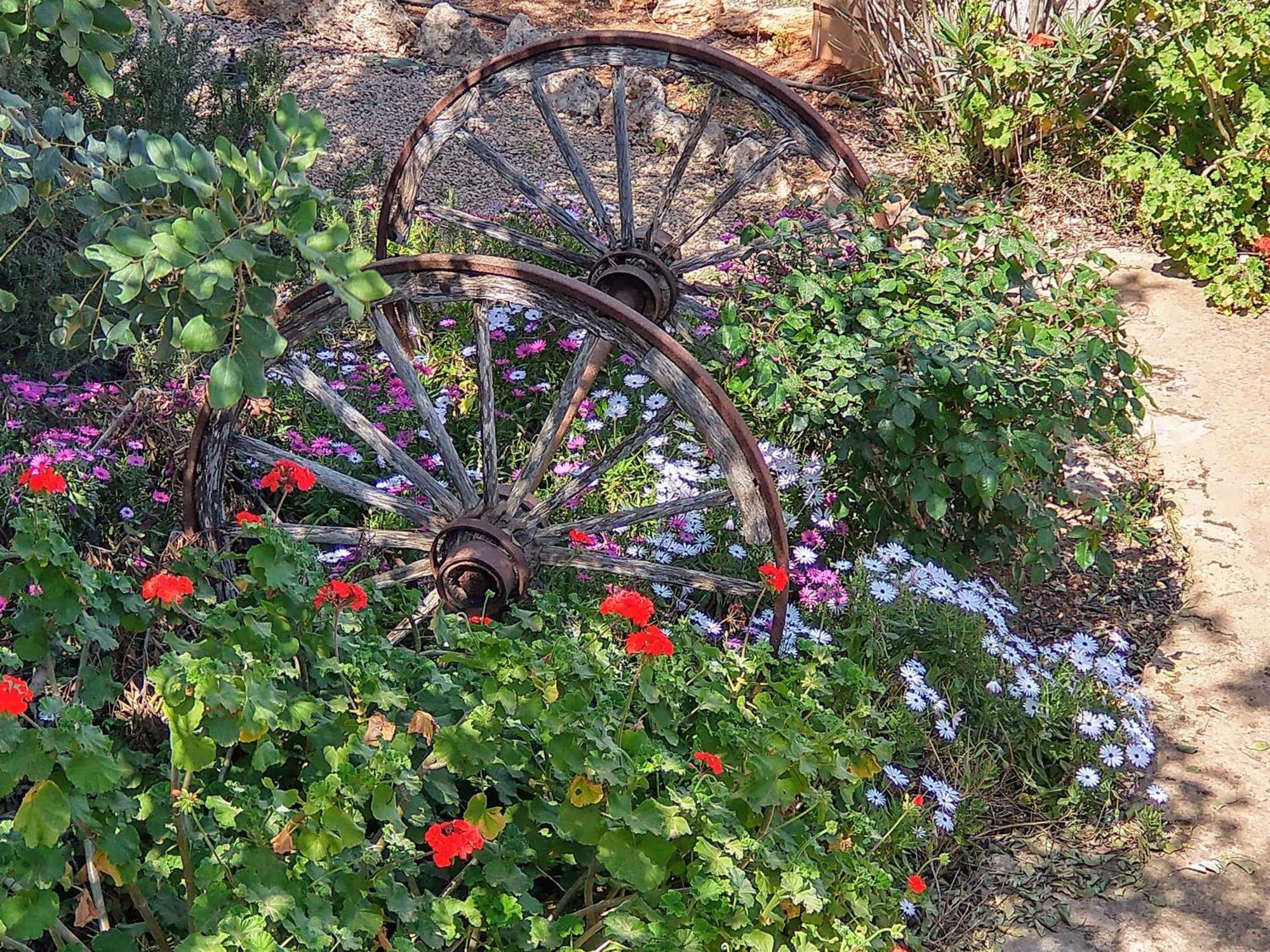 Agroturismo Son Marimon (adults Only) *