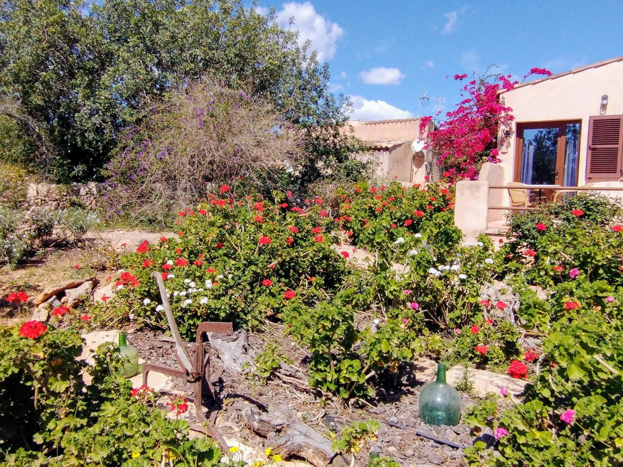 Son Marimon (adults Only) Agroturismo *