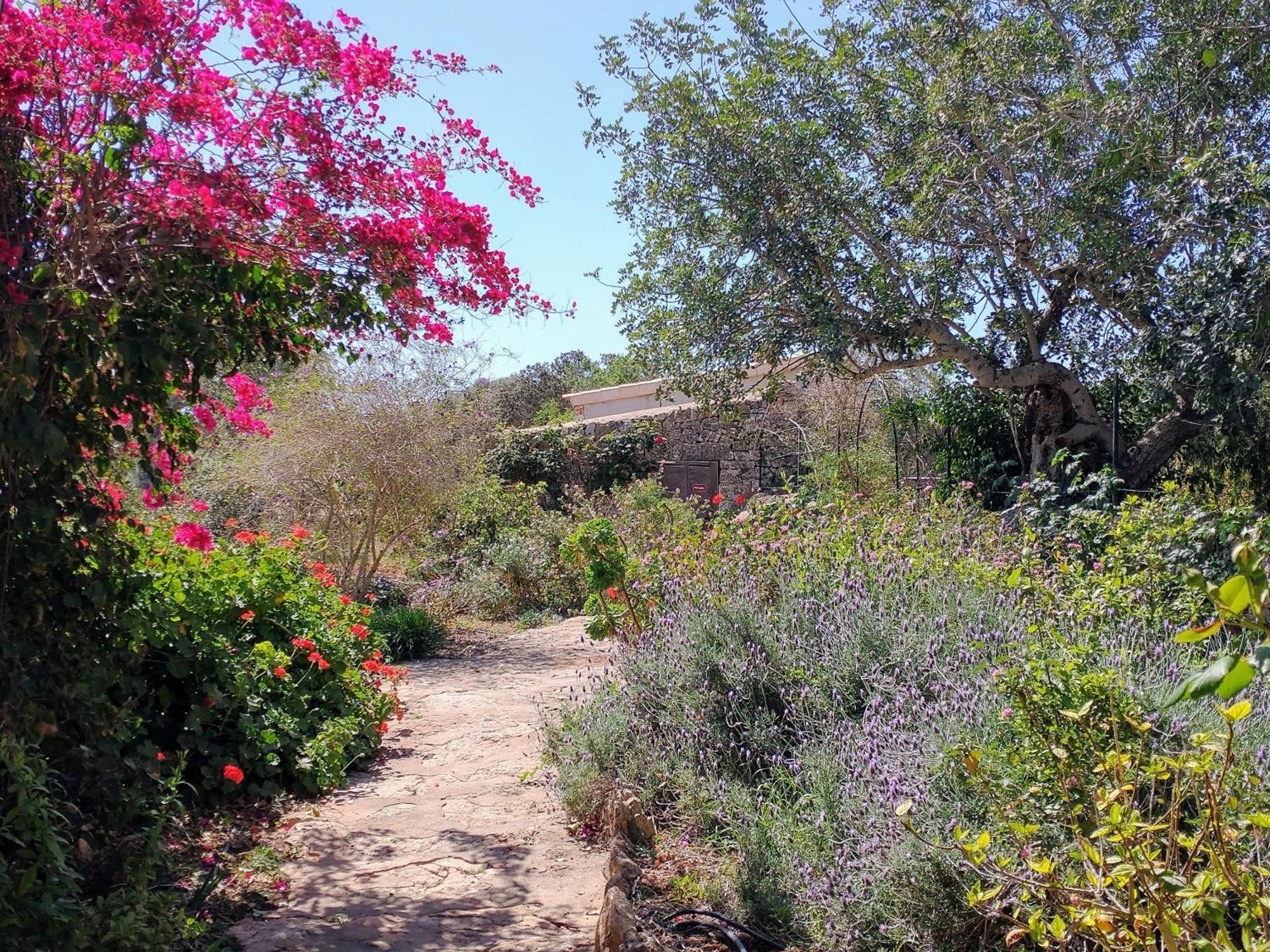 Agroturismo Son Marimon (adults Only)