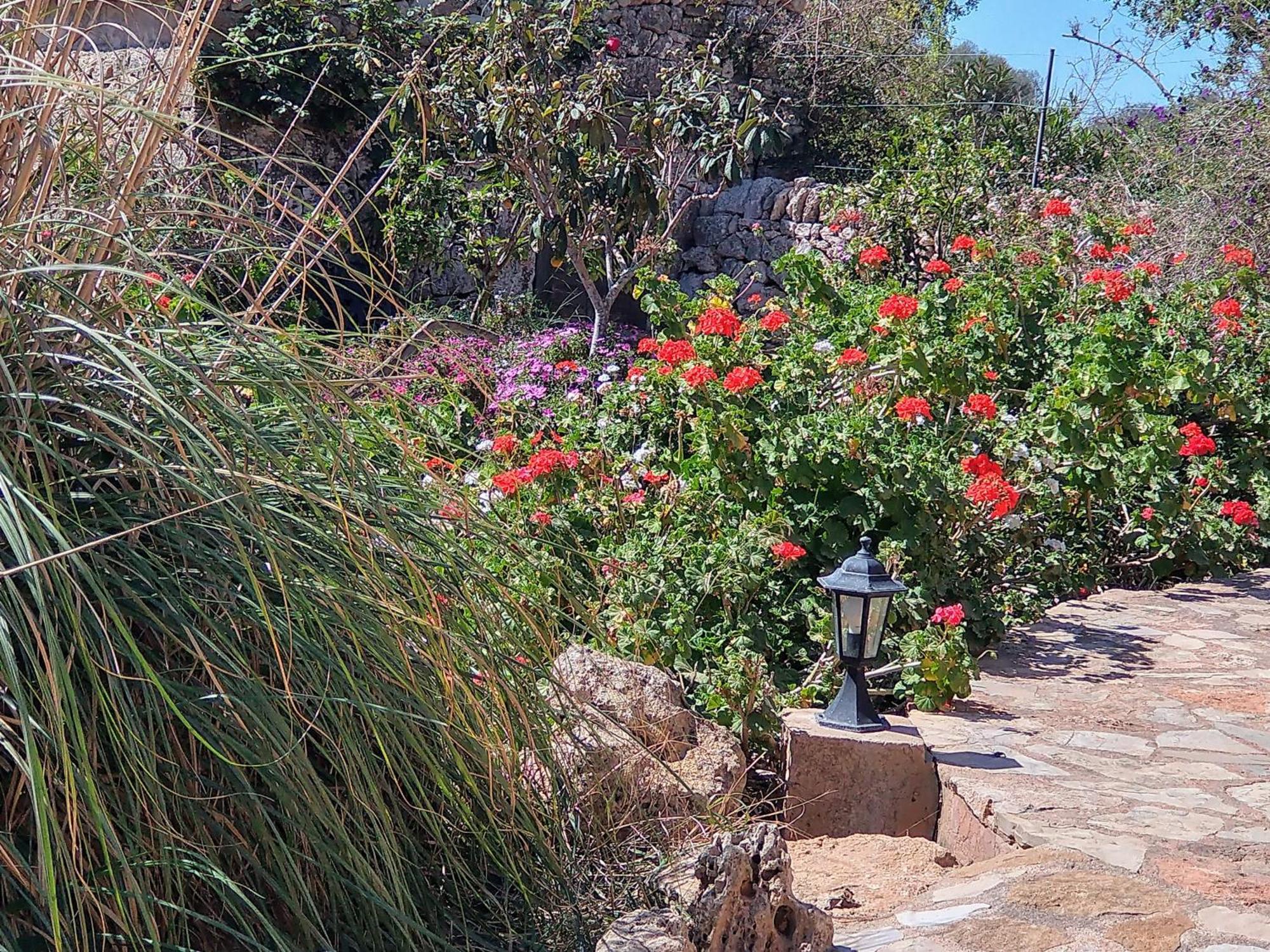 Son Marimon (adults Only) Agroturismo