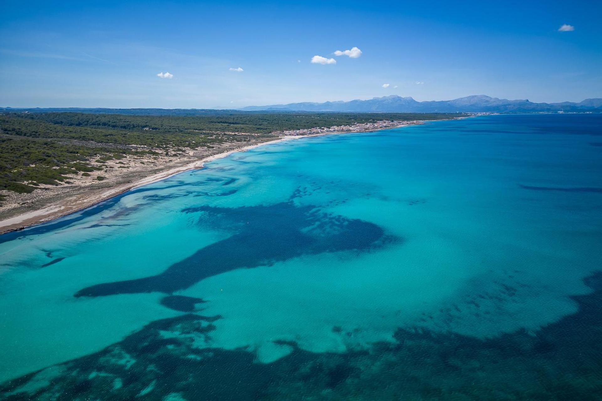 Ideal Mallorca - Ca Sa Tati