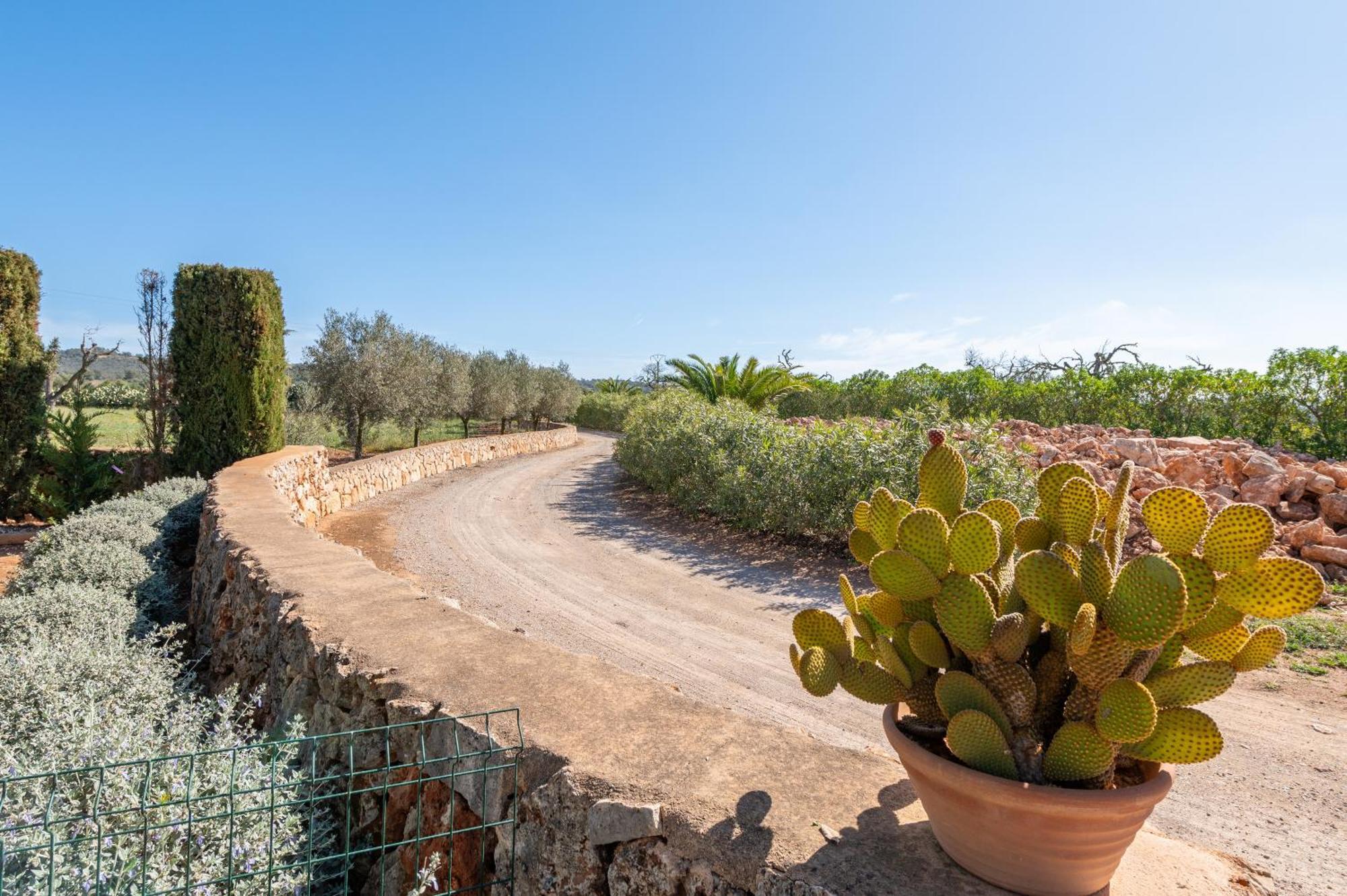 Ses Oliveres Villa