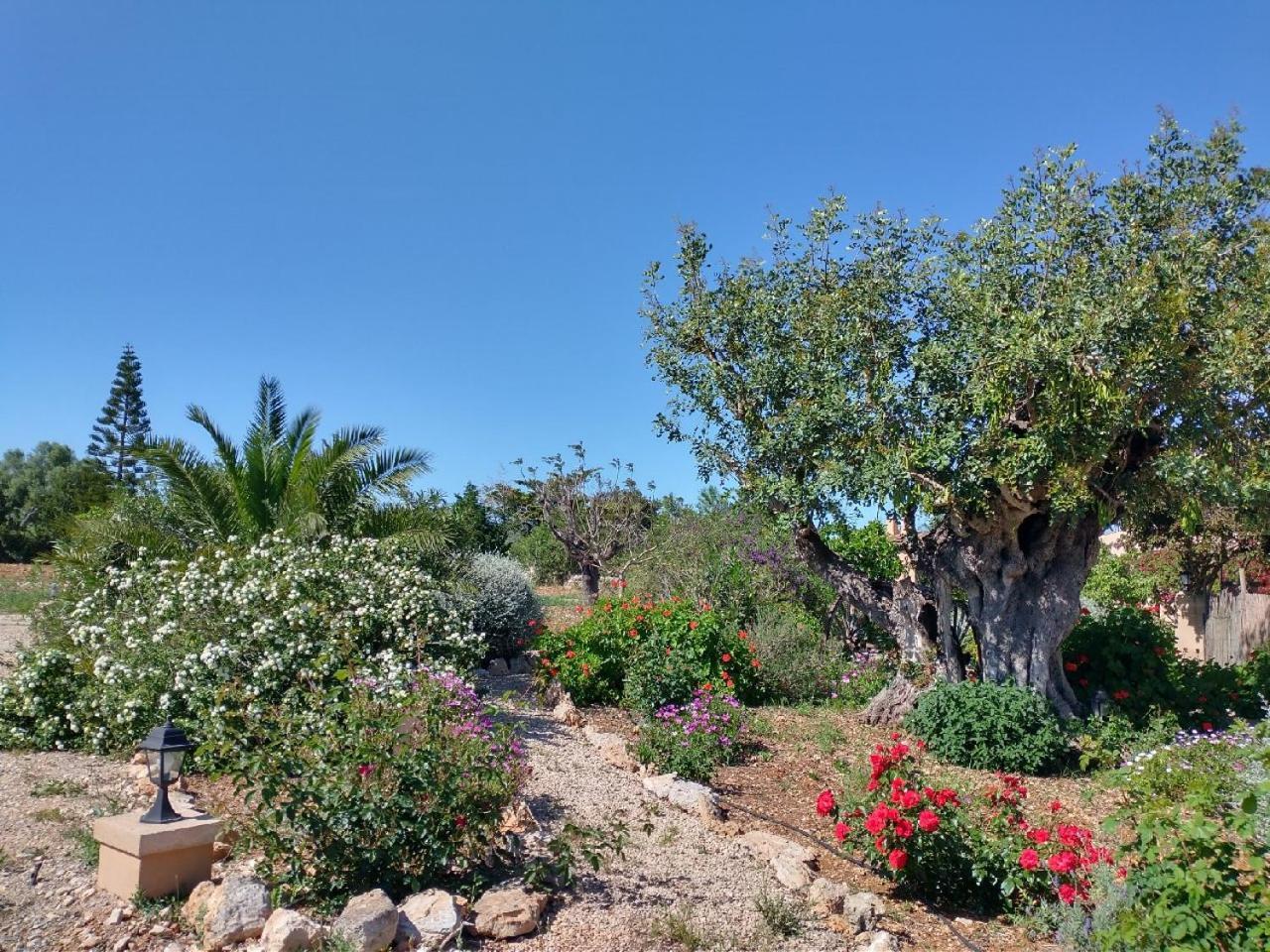 Agroturismo Son Marimon (adults Only) *