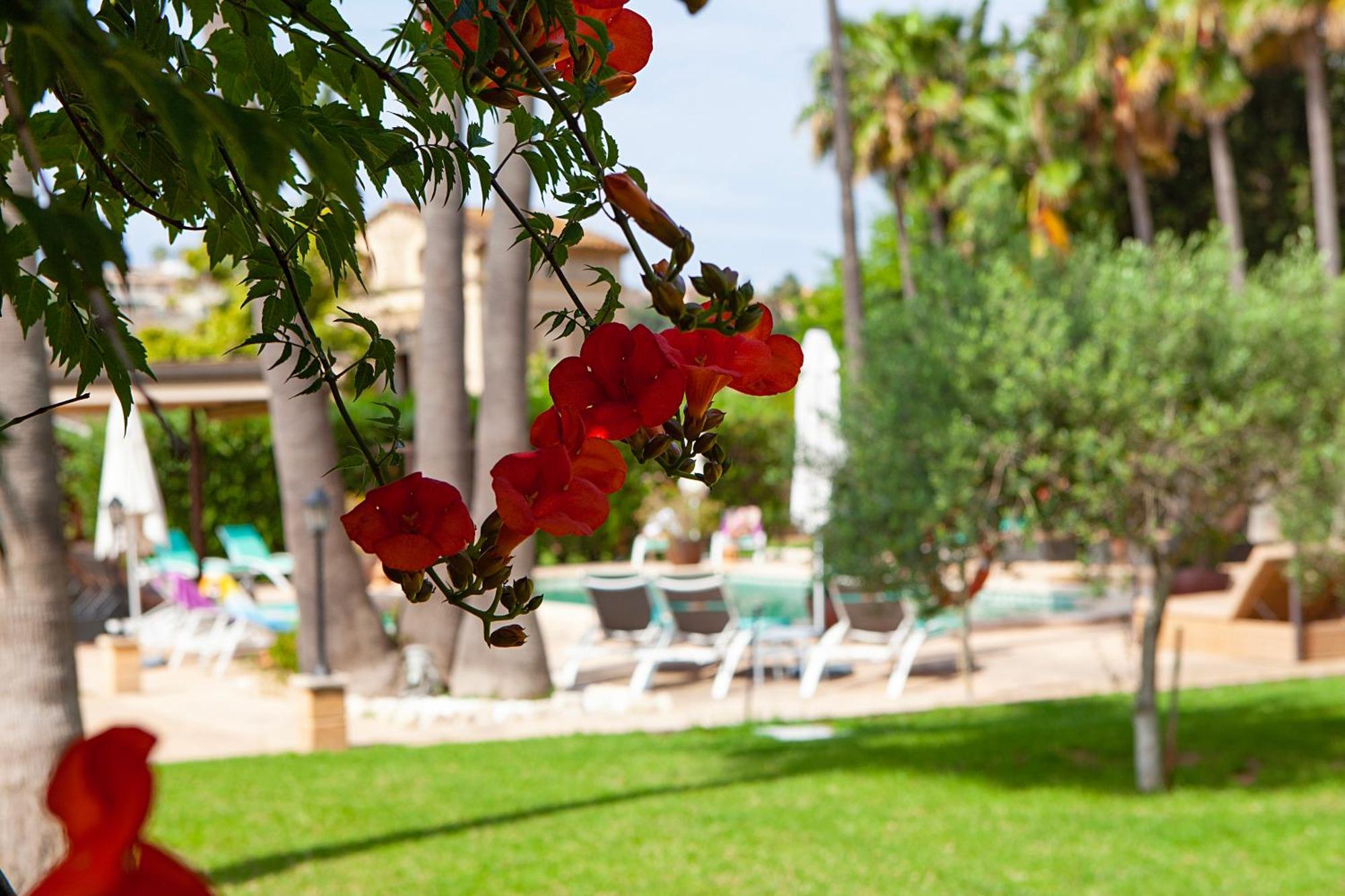 S'hort De Son Caulelles - Adults Only Agroturismo *