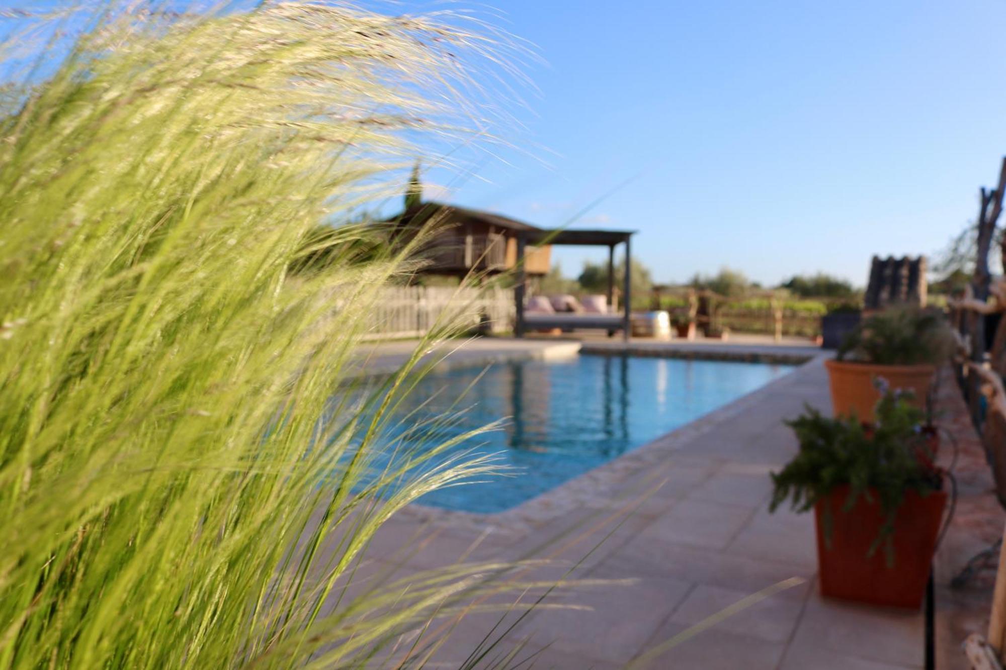 Cas Coix Jacuzzi Gym & Pool