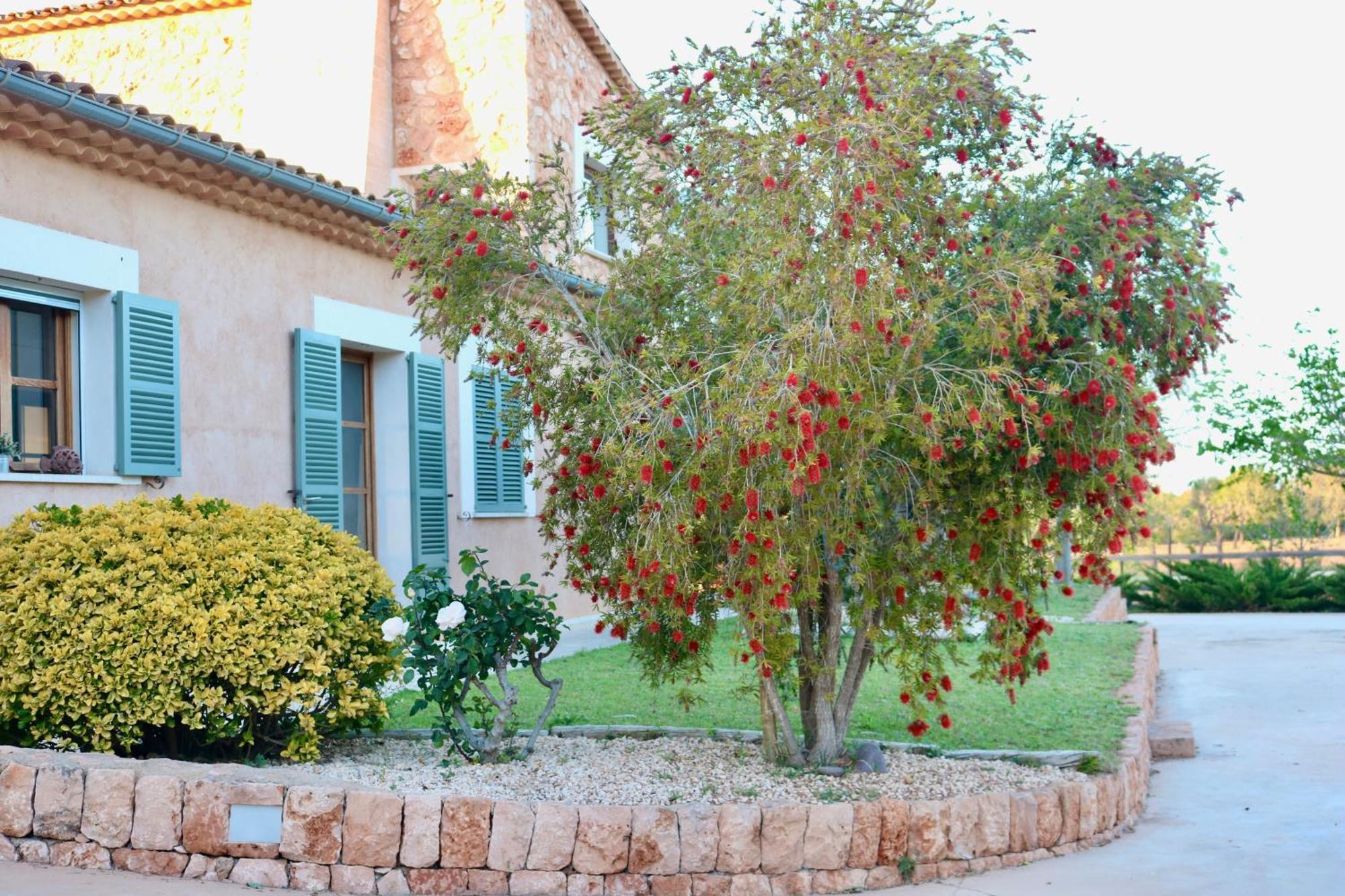Villa Cas Coix Jacuzzi Gym & Pool Biniali (Majorca)
