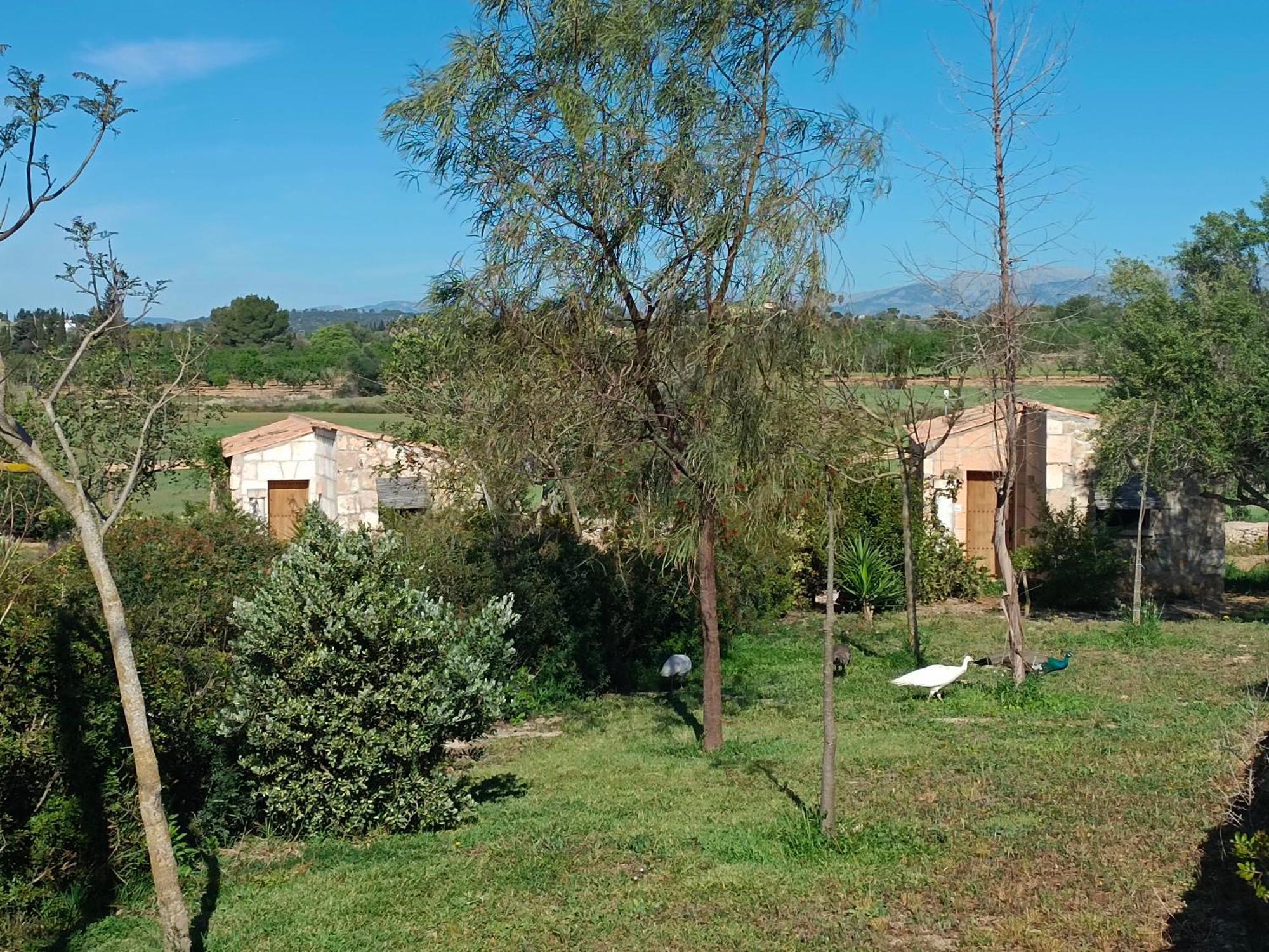 Hotel Es Racó De Maria