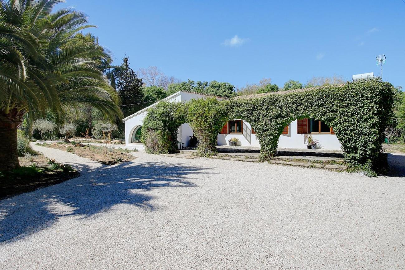 Roca Puigpunyent (Mallorca)