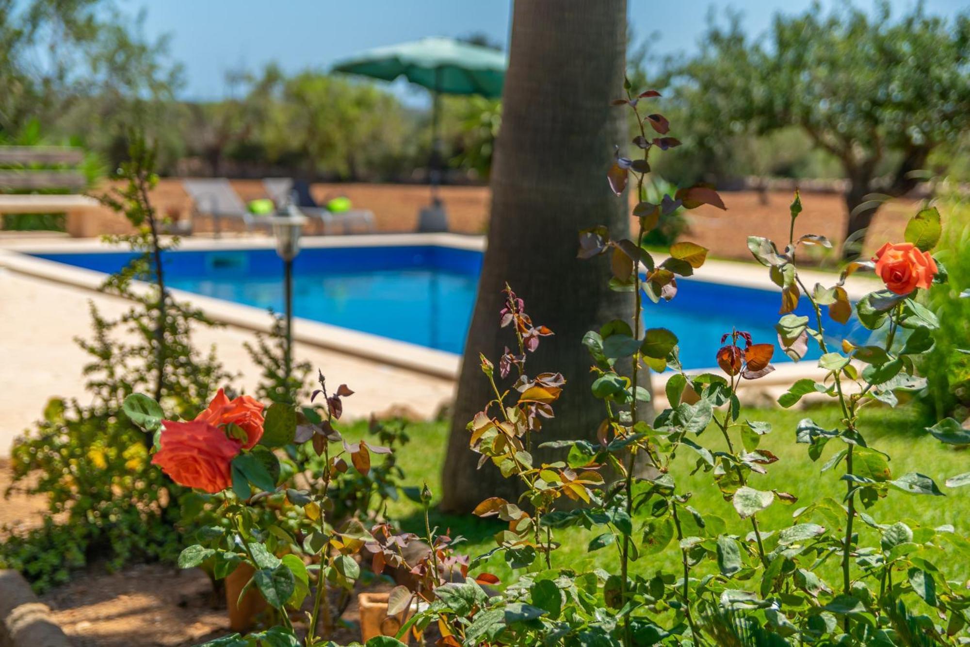 Es Coco De Sa Mola Villa Cala Mondragó