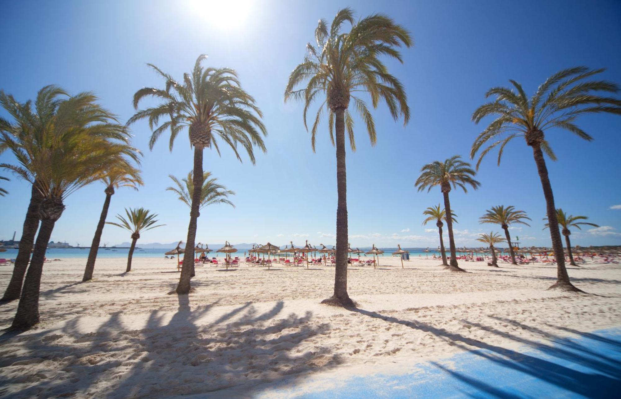Apartahotel Ferrer Tamarindos 3*