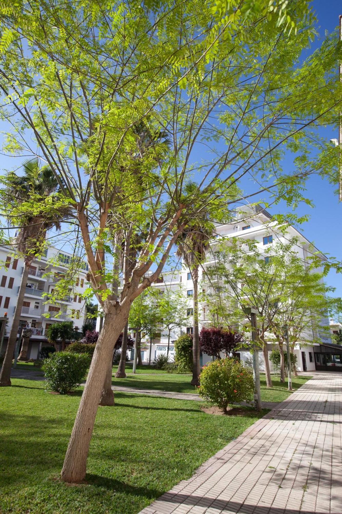 Apartahotel Ferrer Tamarindos 3*