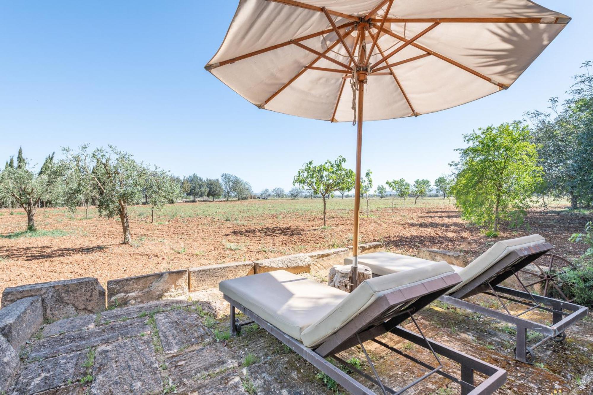 Es Lledoner 3 Villa Fenalitx (Fenalich)