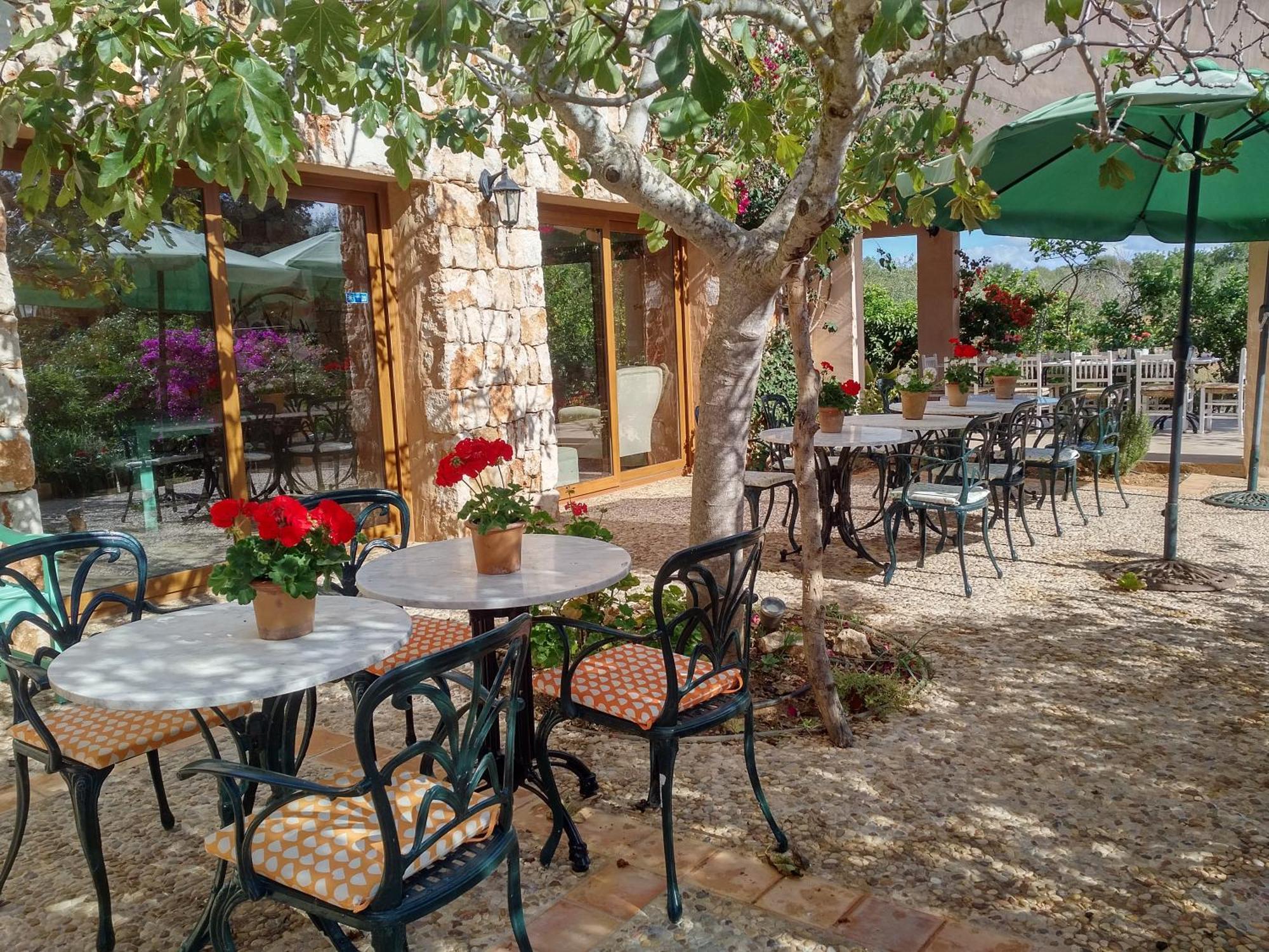 Son Marimon (adults Only) Agroturismo *