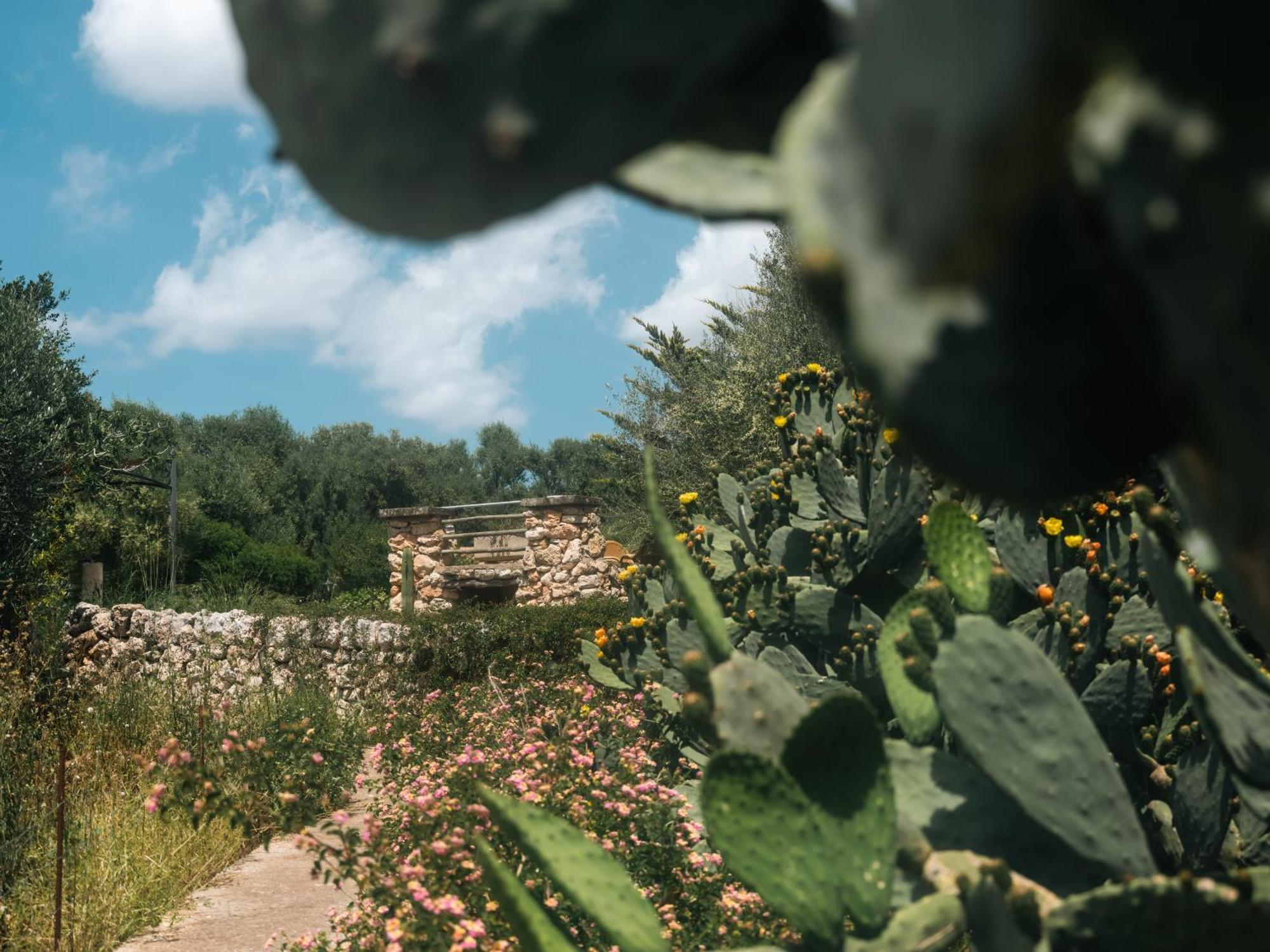 Sa Cova Vella Agroturismo