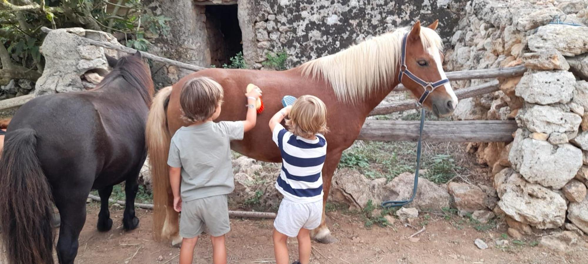 Agroturismo Sa Cova Vella Manacor (Mallorca)