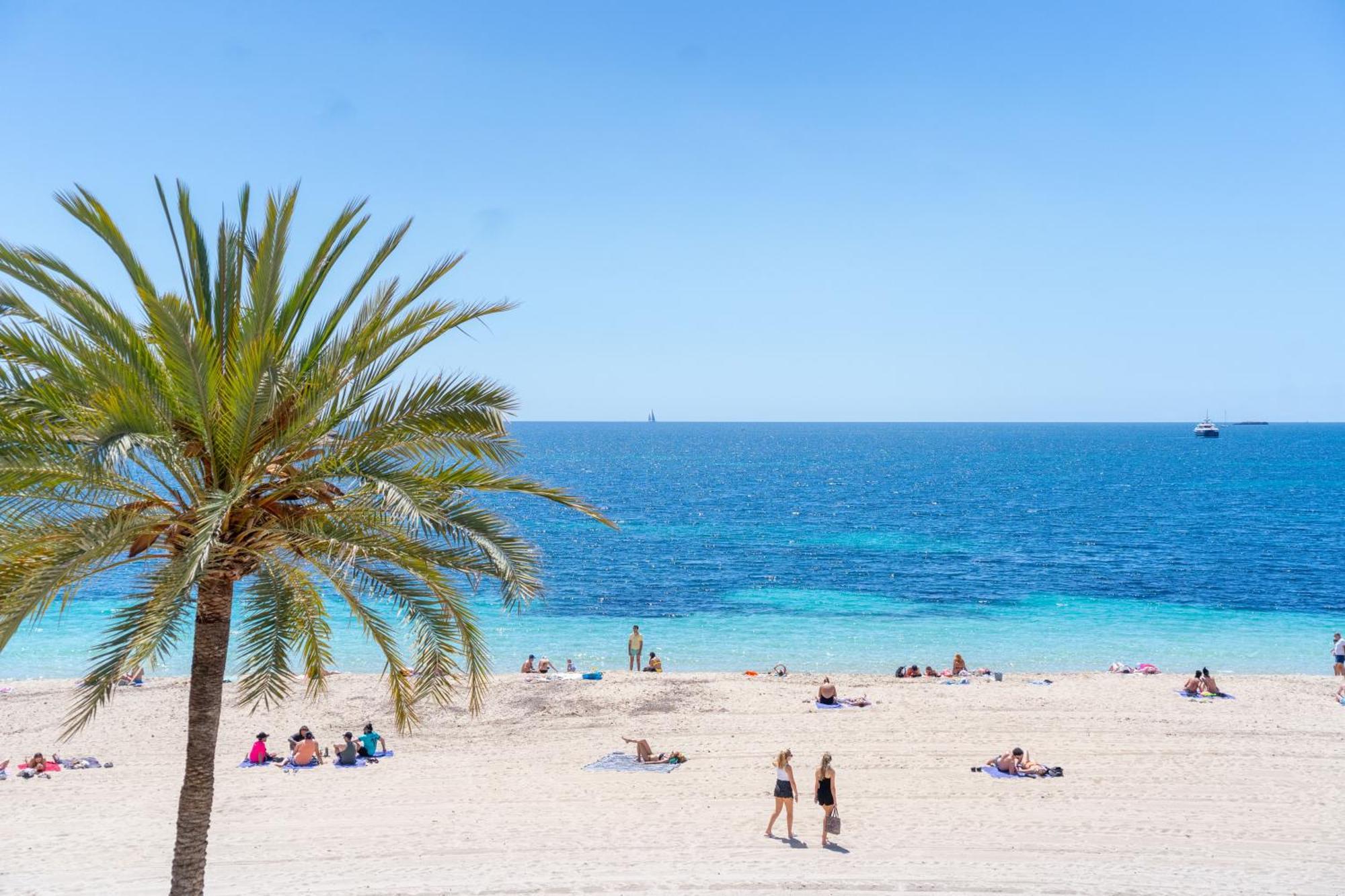 Flamboyan Caribe & Magaluf (Mallorca)