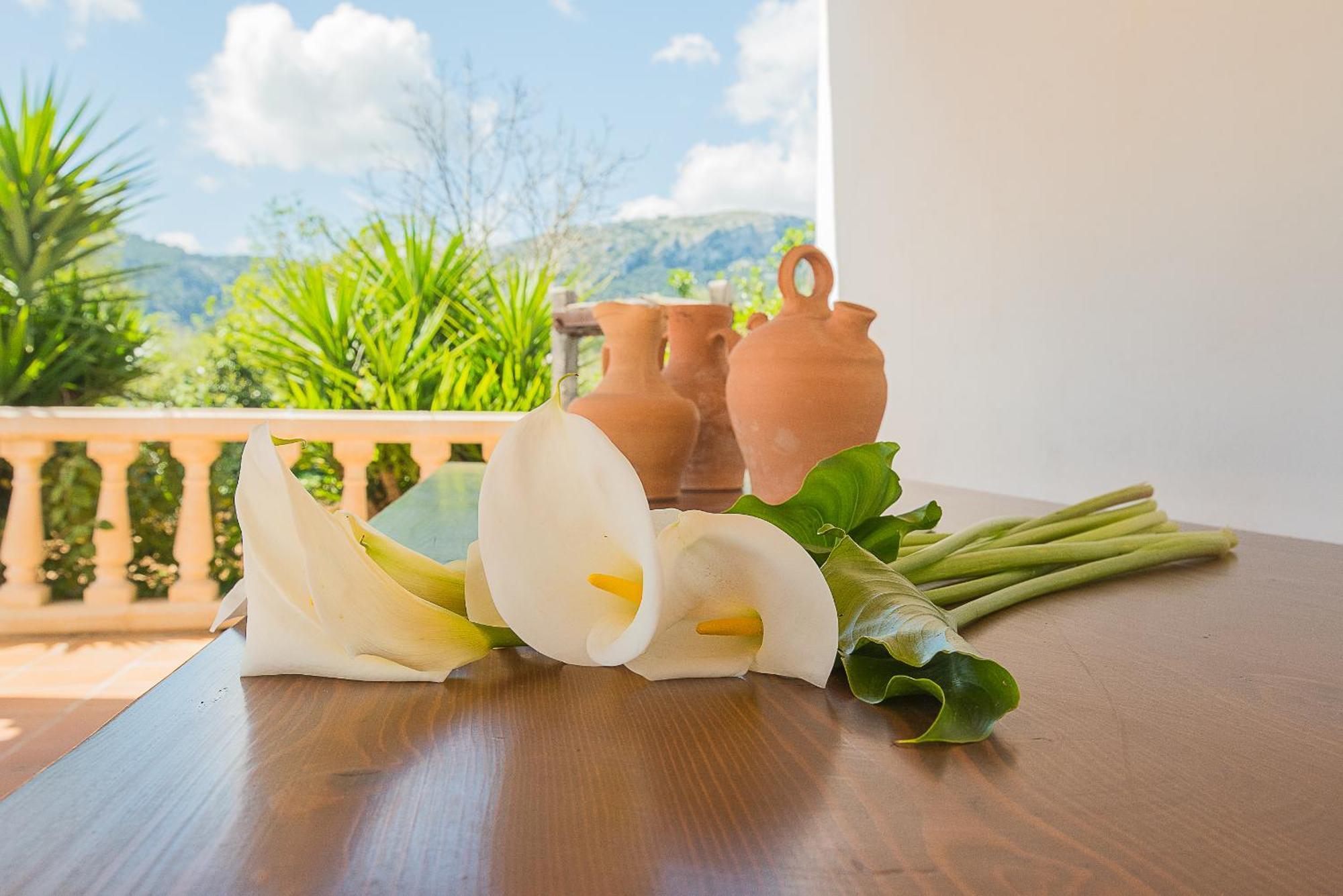 Villa Colonya Jaume-3 Bedrooms, Private Pool Near *