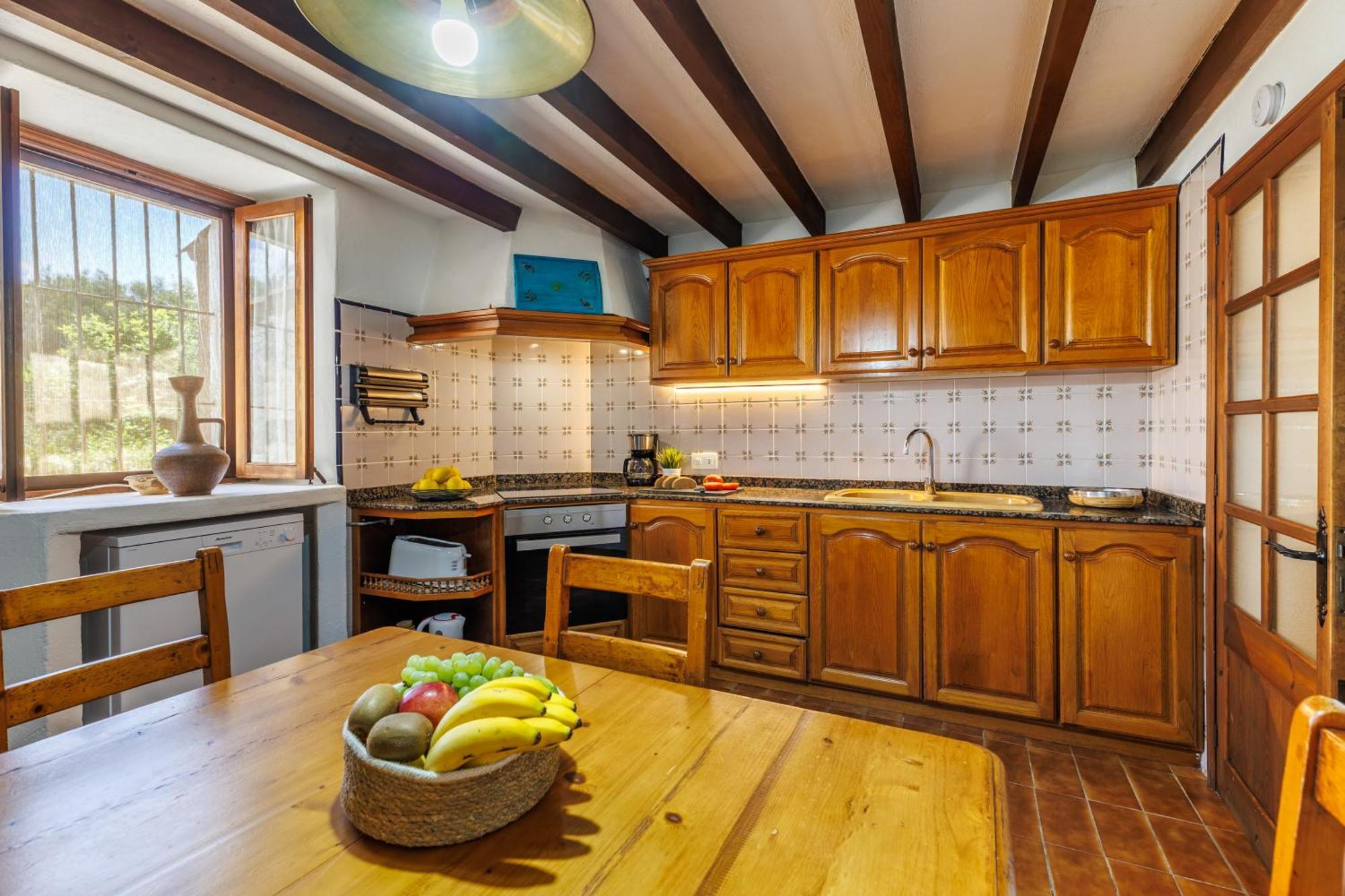 Can Guineu Villa