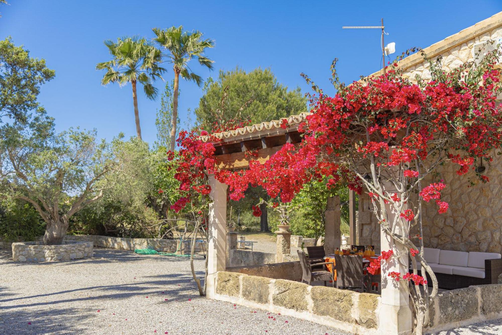 Cosme Alcudia (Mallorca)